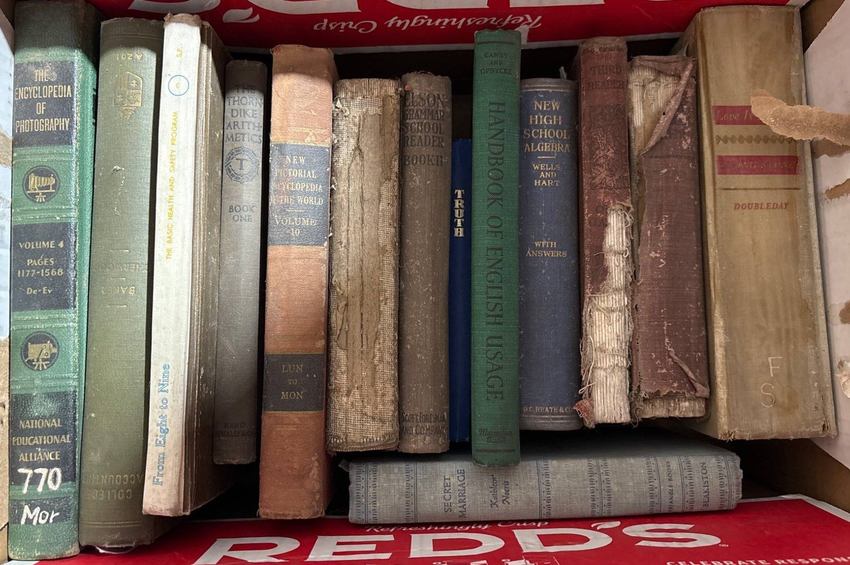 Online Bidding Available!