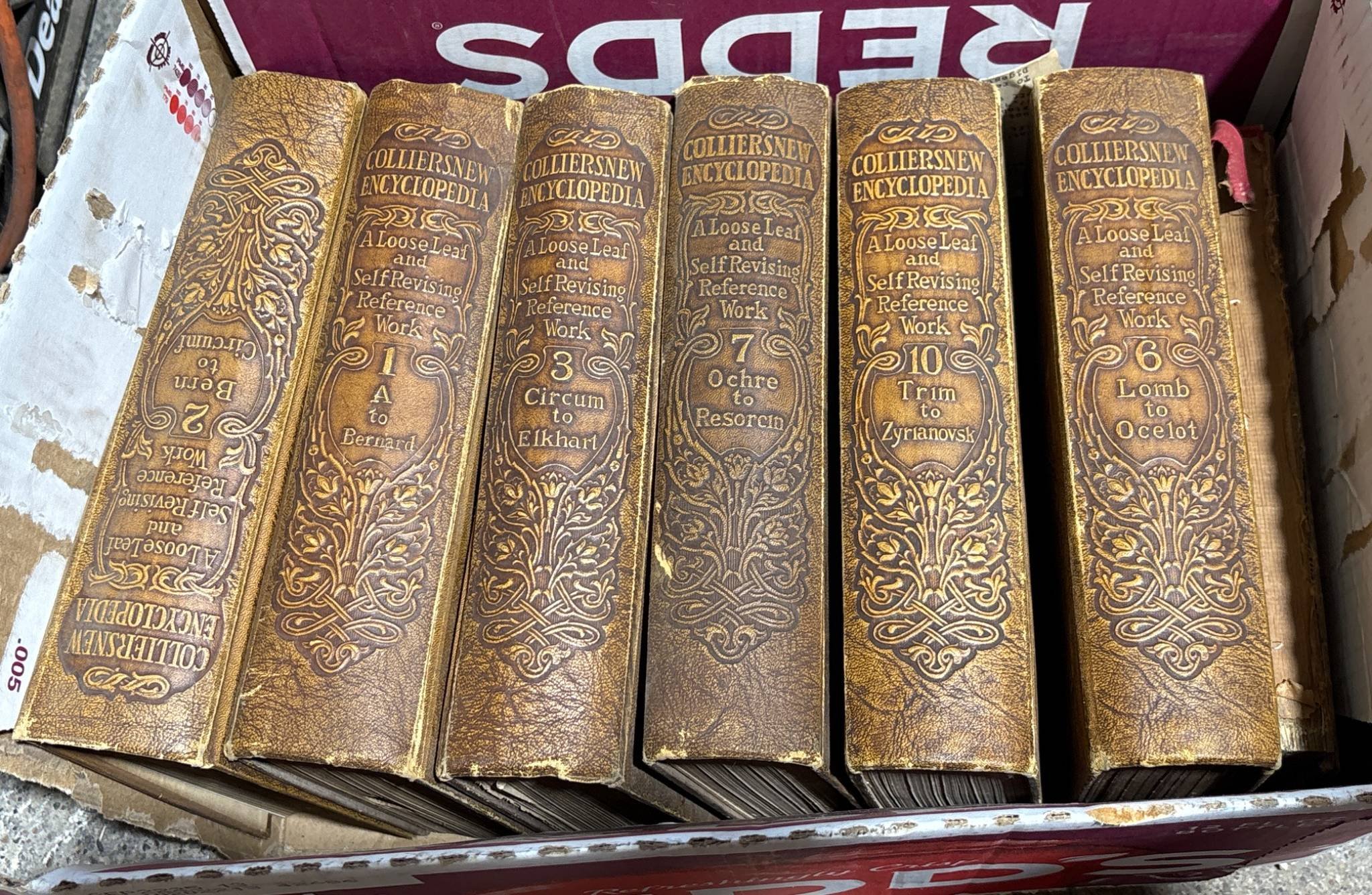 Online Bidding Available!