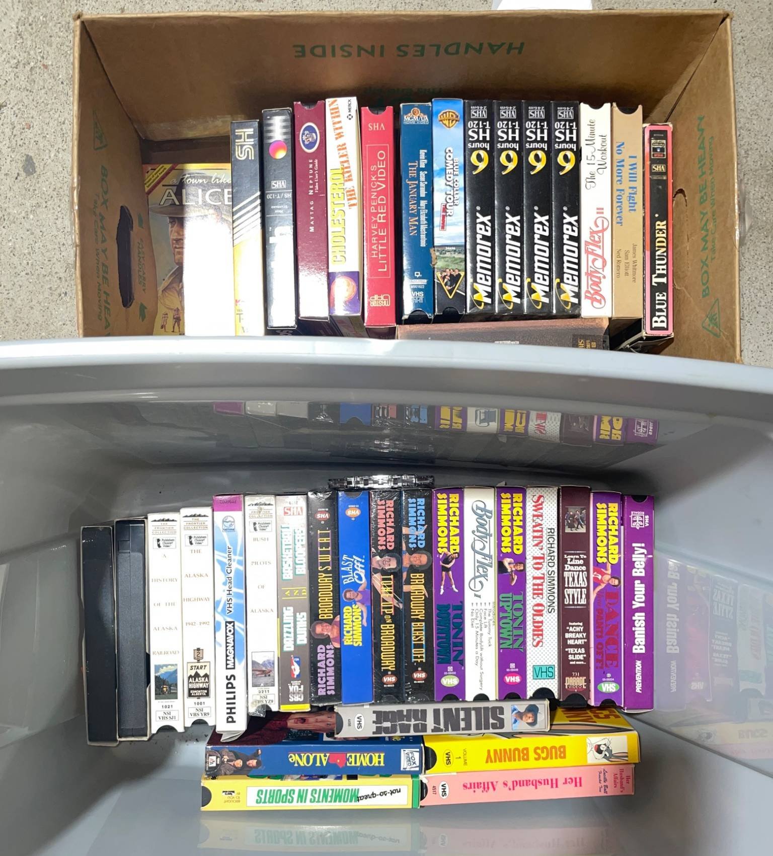 Online Bidding Available!