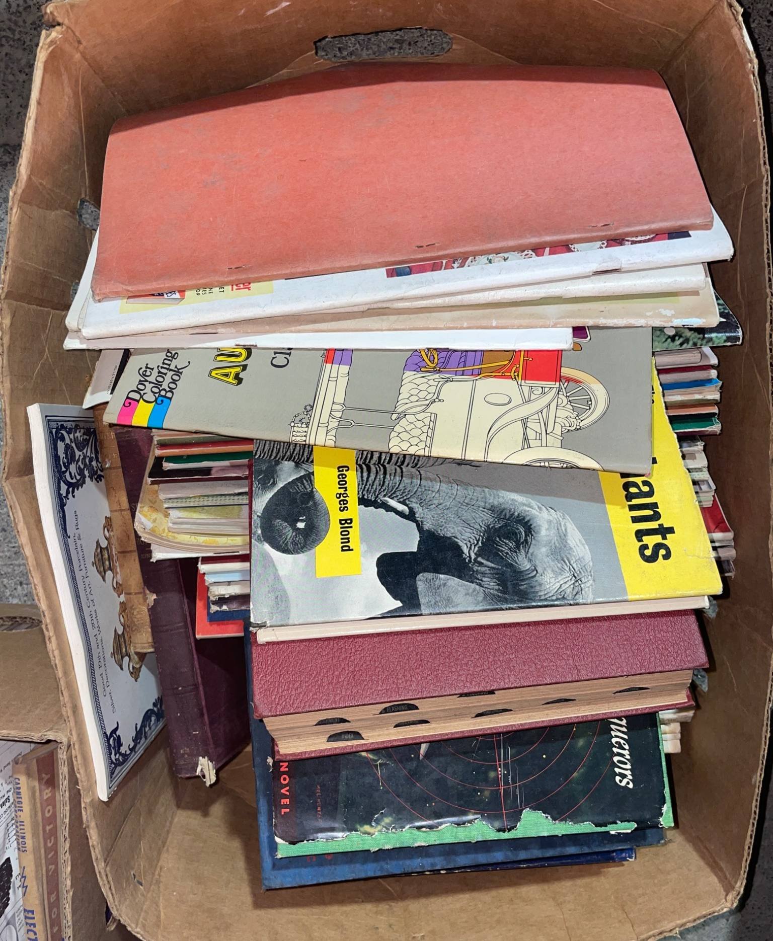 Online Bidding Available!