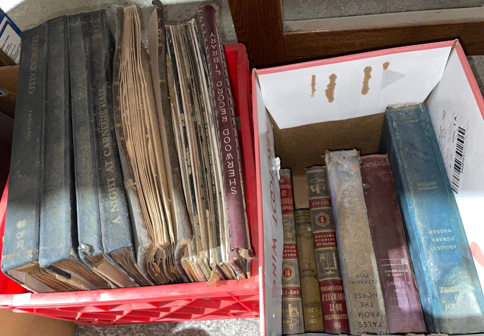 Online Bidding Available!