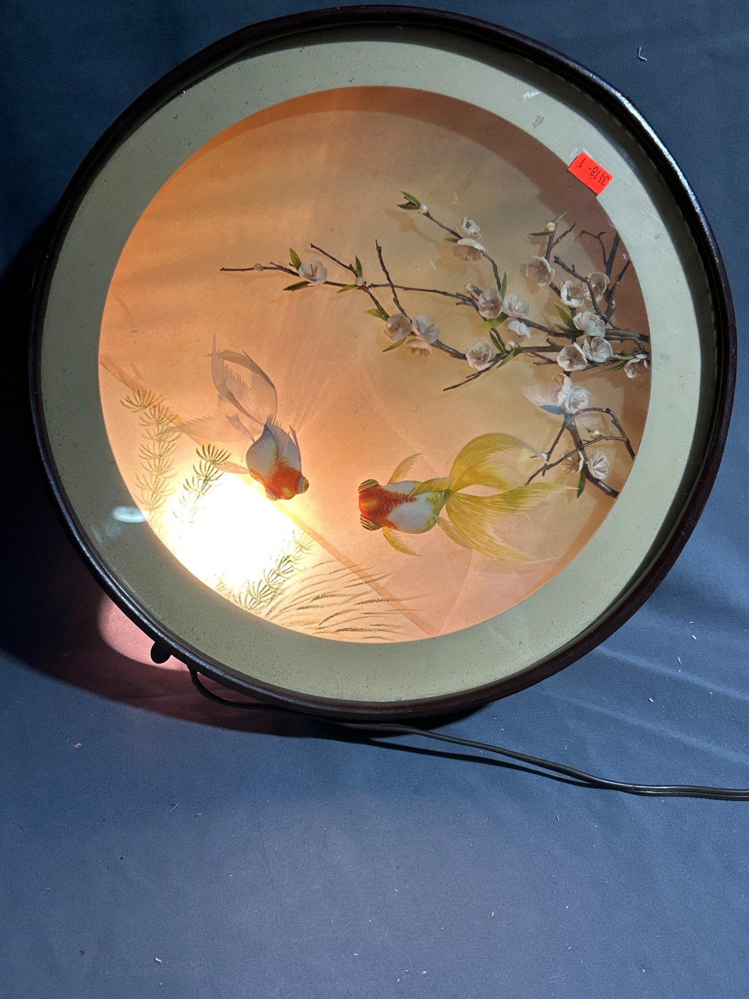 Online Bidding Available!