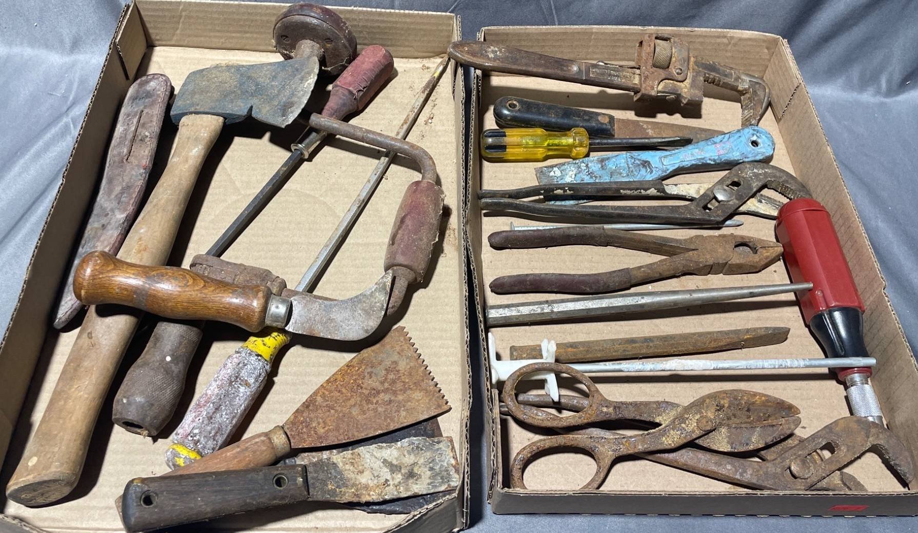 Online Bidding Available!