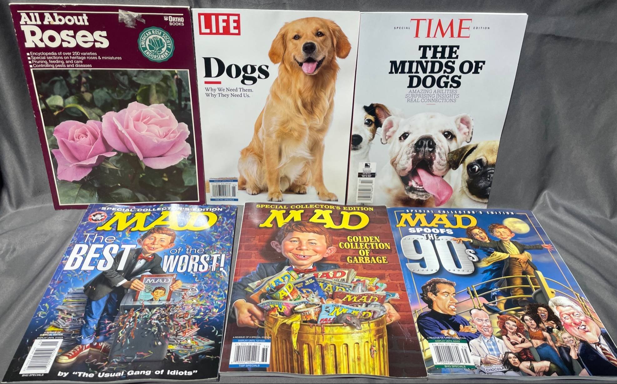 Online Bidding Available!