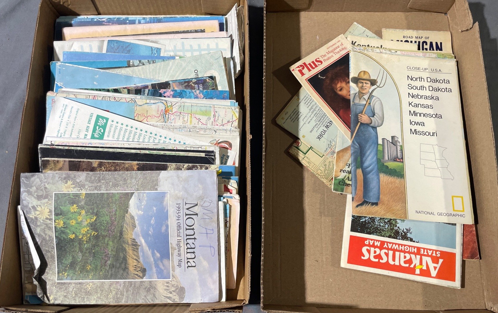 Online Bidding Available!