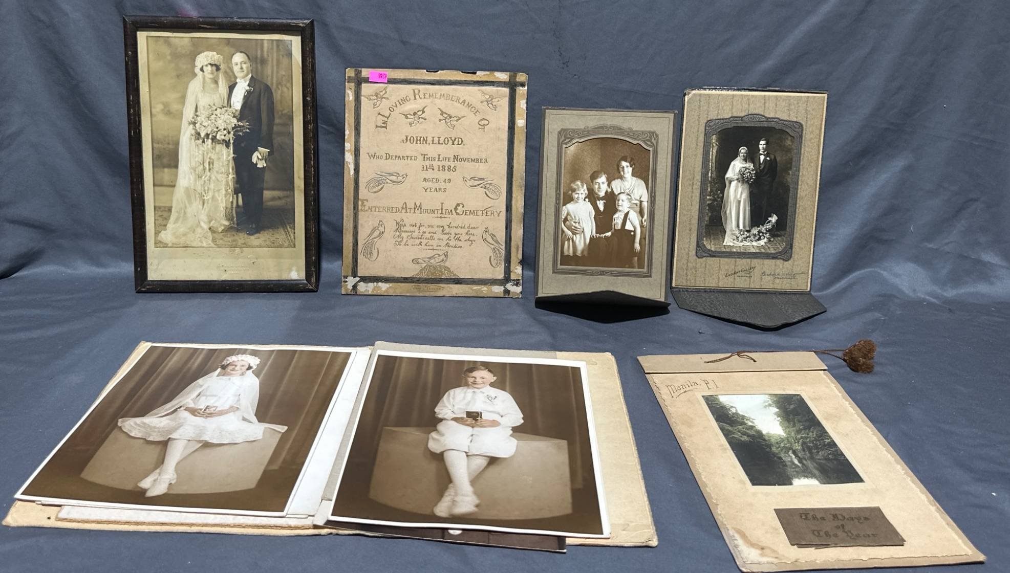 Online Bidding Available!