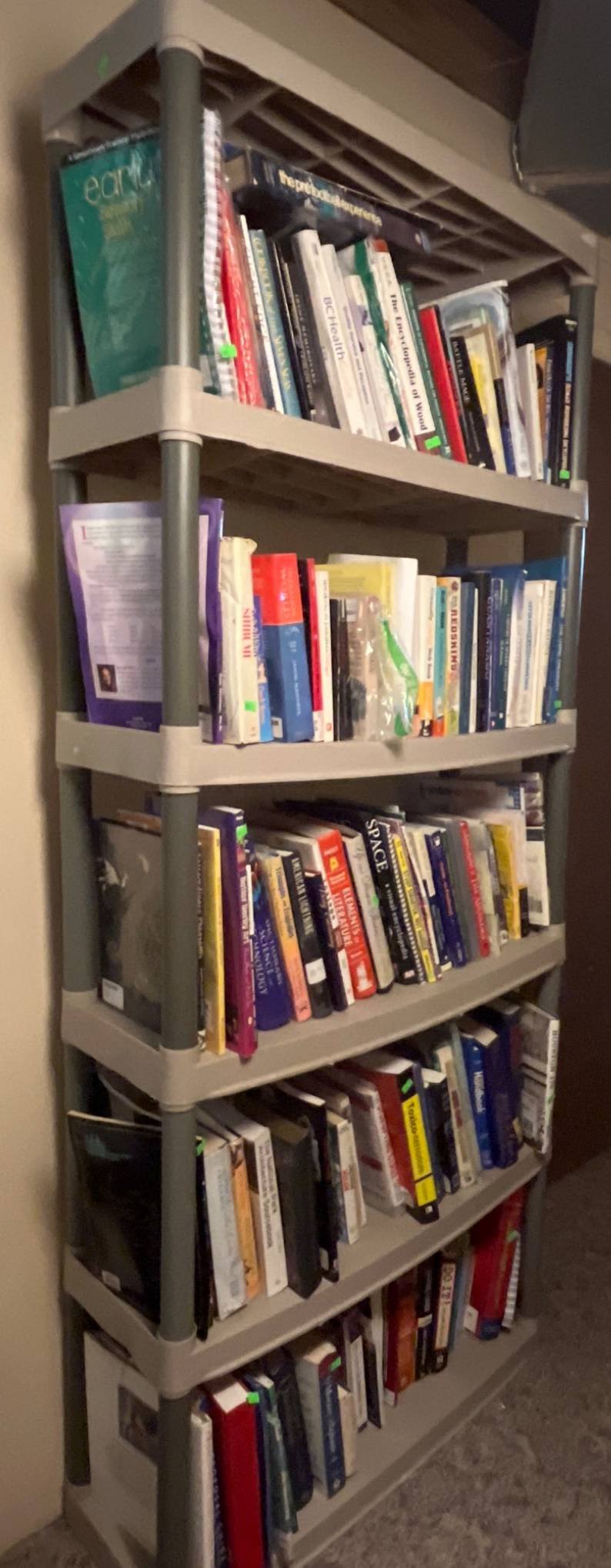 Online Bidding Available!