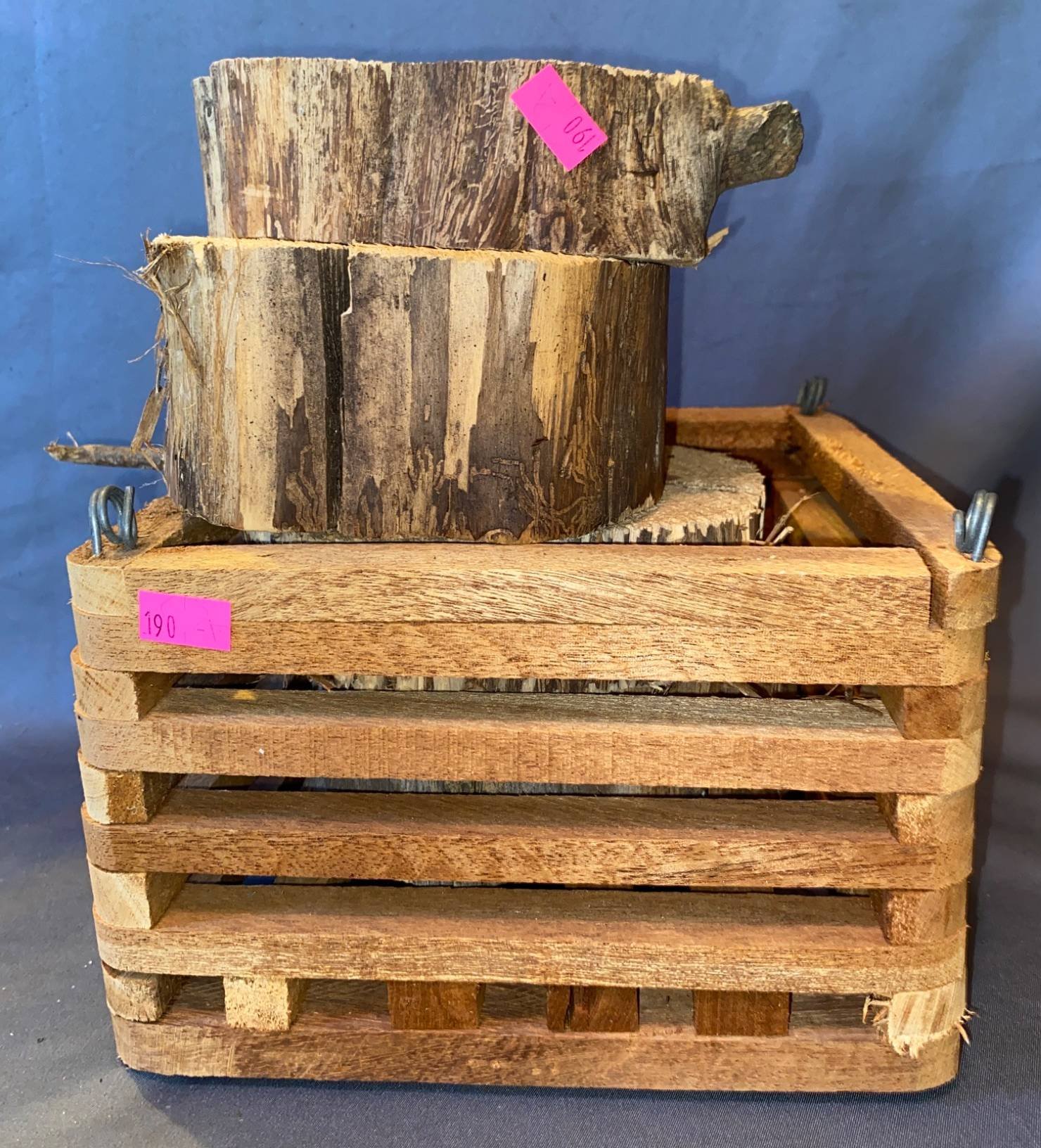 Online Bidding Available!