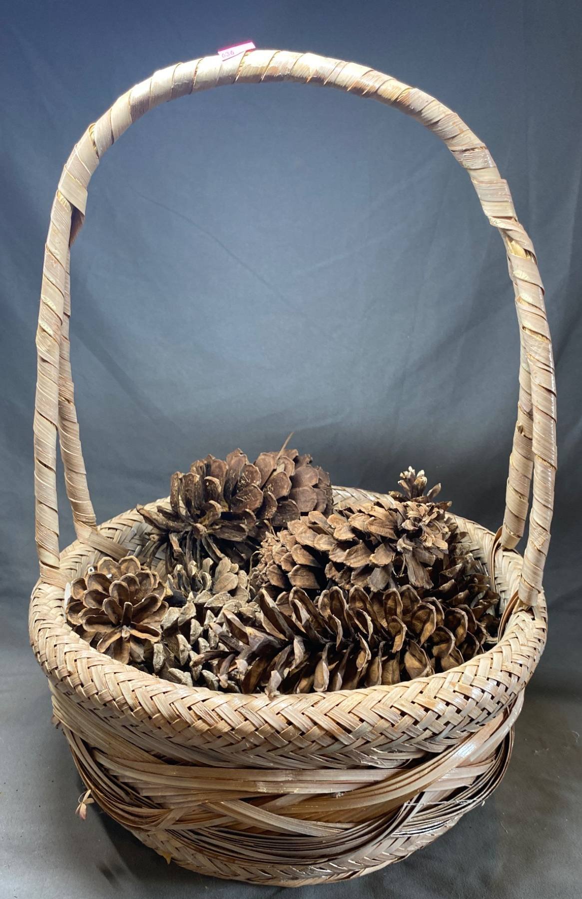 Online Bidding Available!