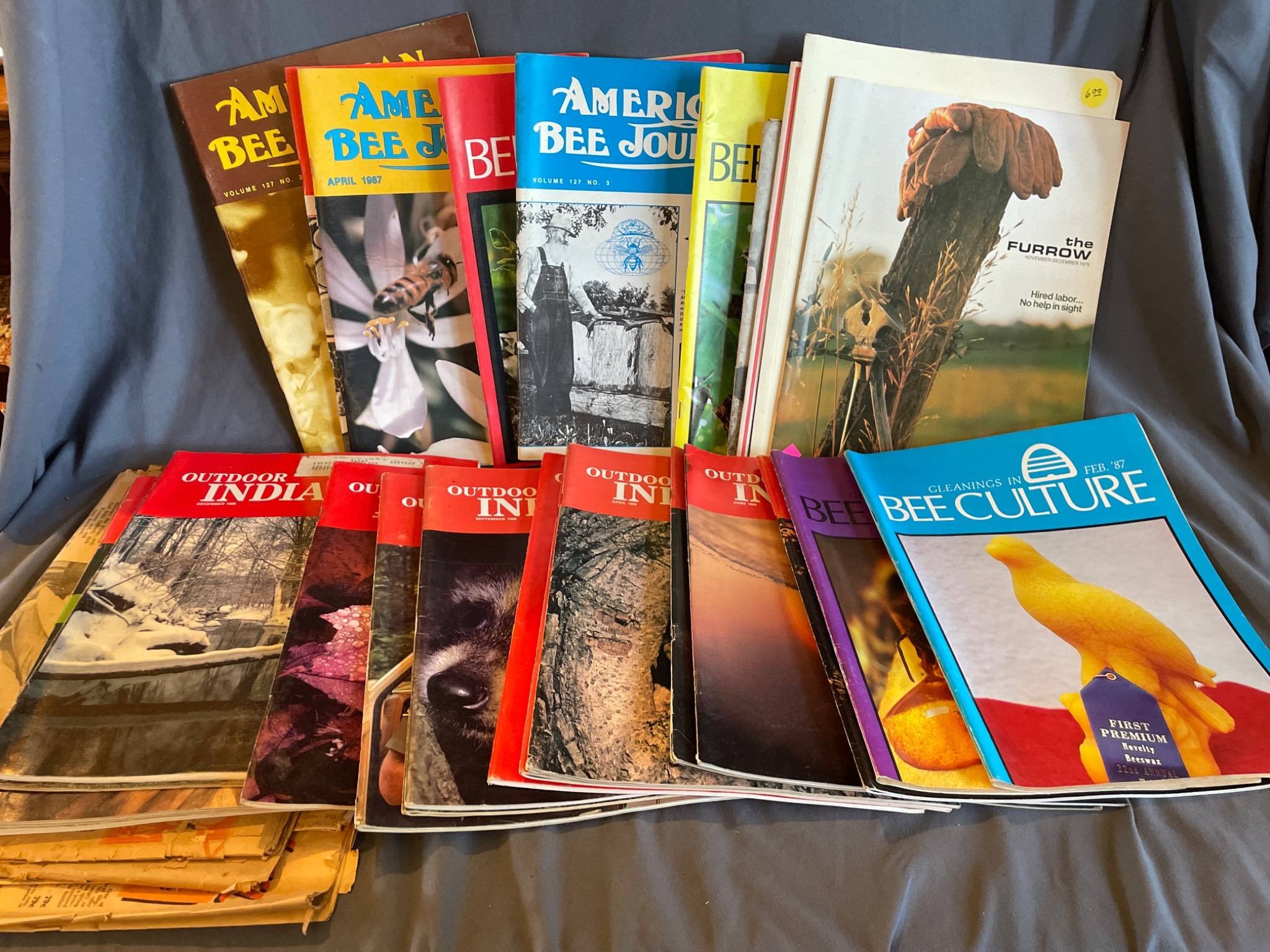 Online Bidding Available!