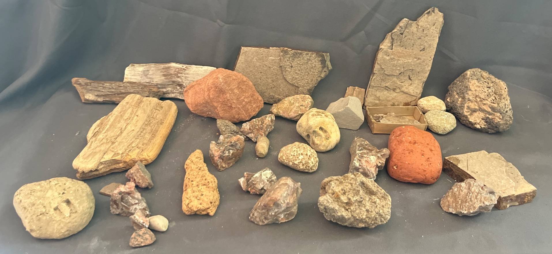 Online Bidding Available!