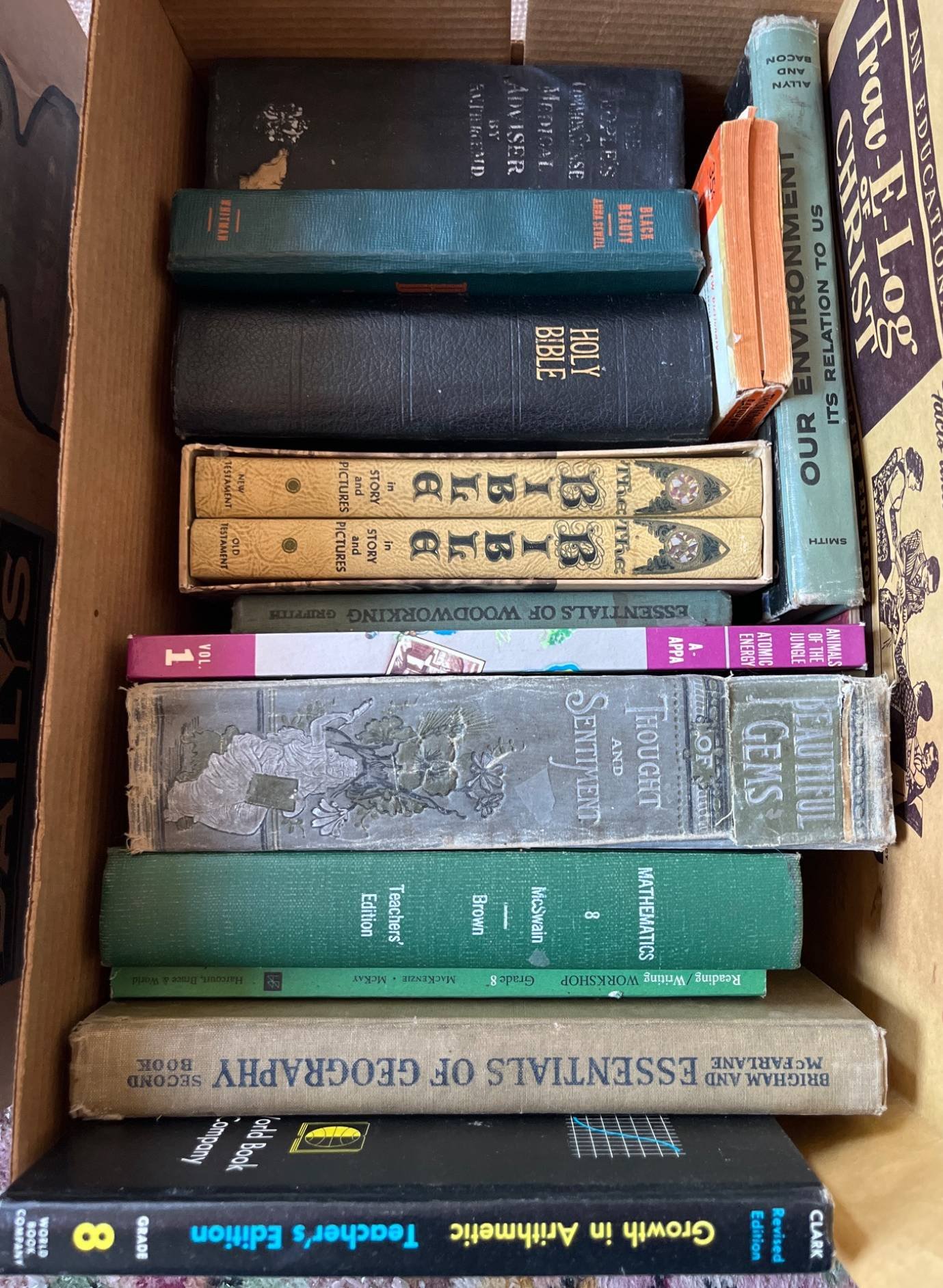 Online Bidding Available!