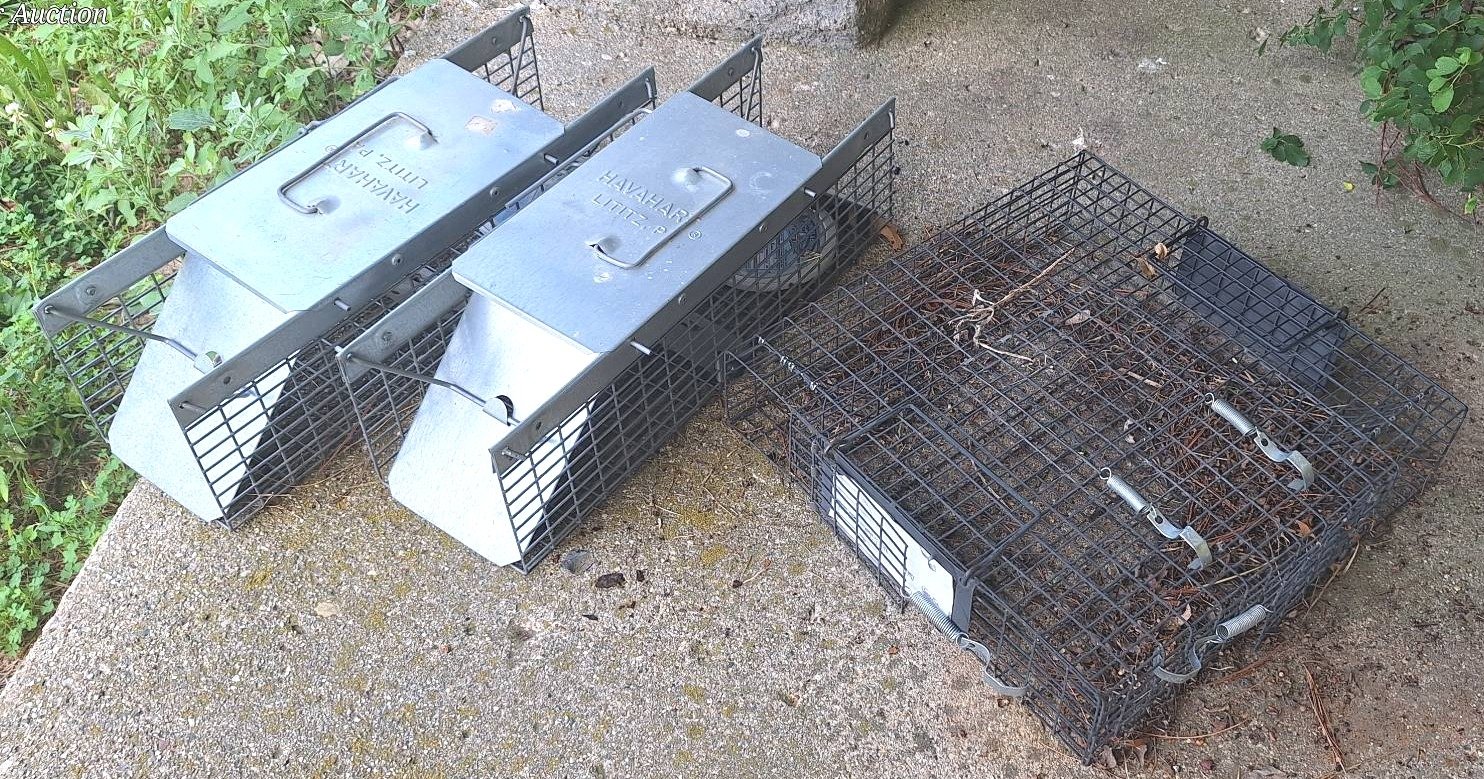 Online Bidding Available!