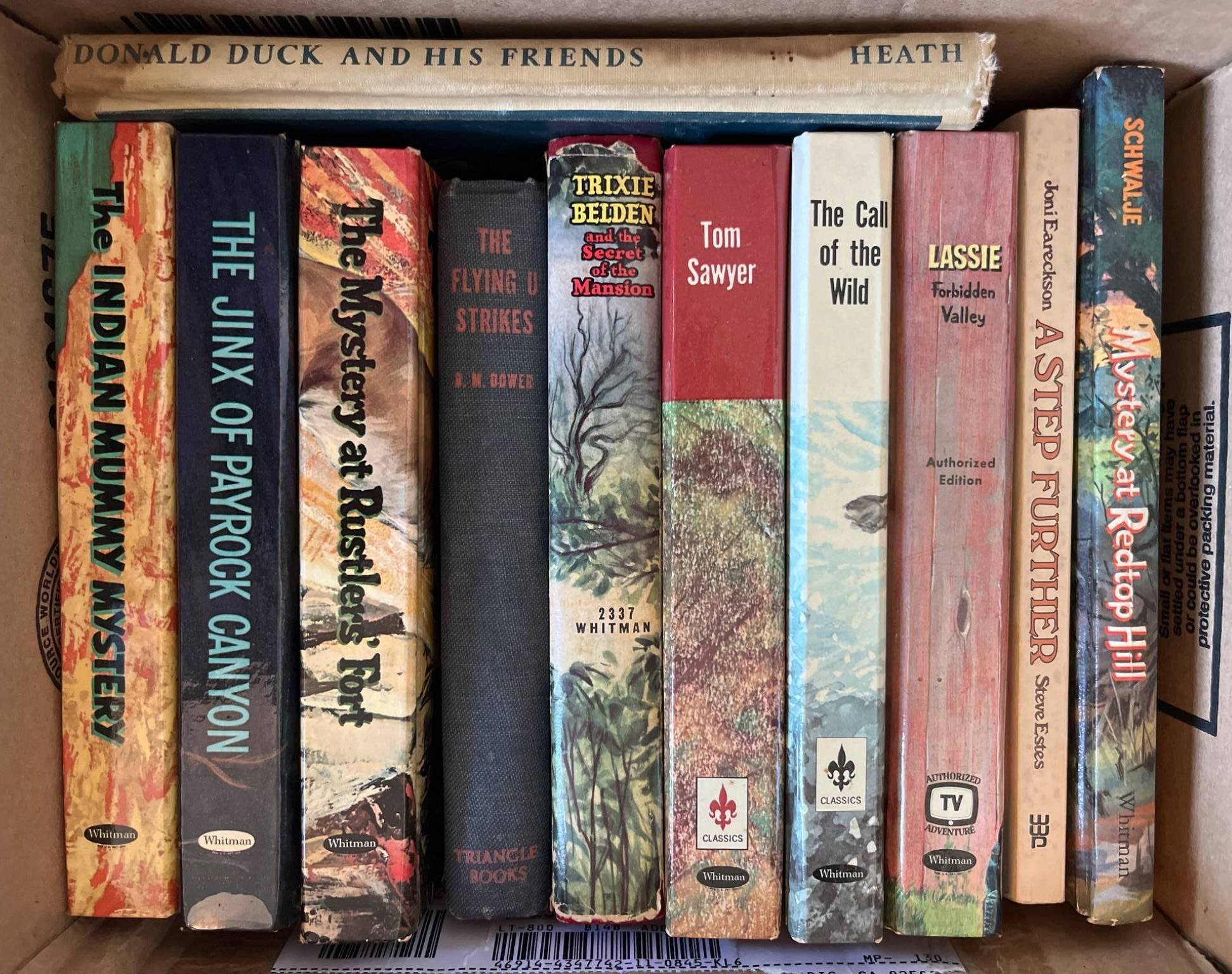 Online Bidding Available!