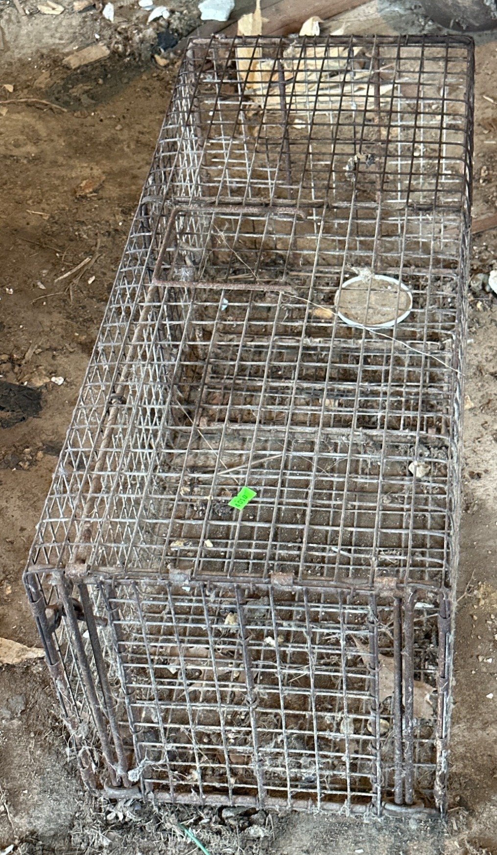 Online Bidding Available!