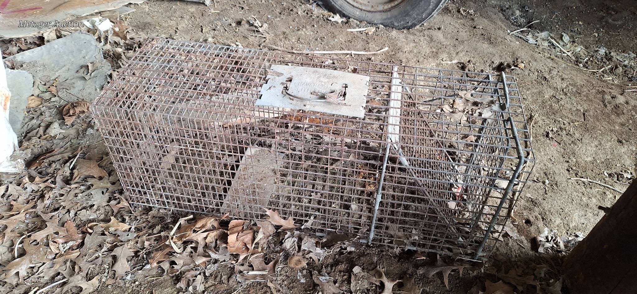 Online Bidding Available!