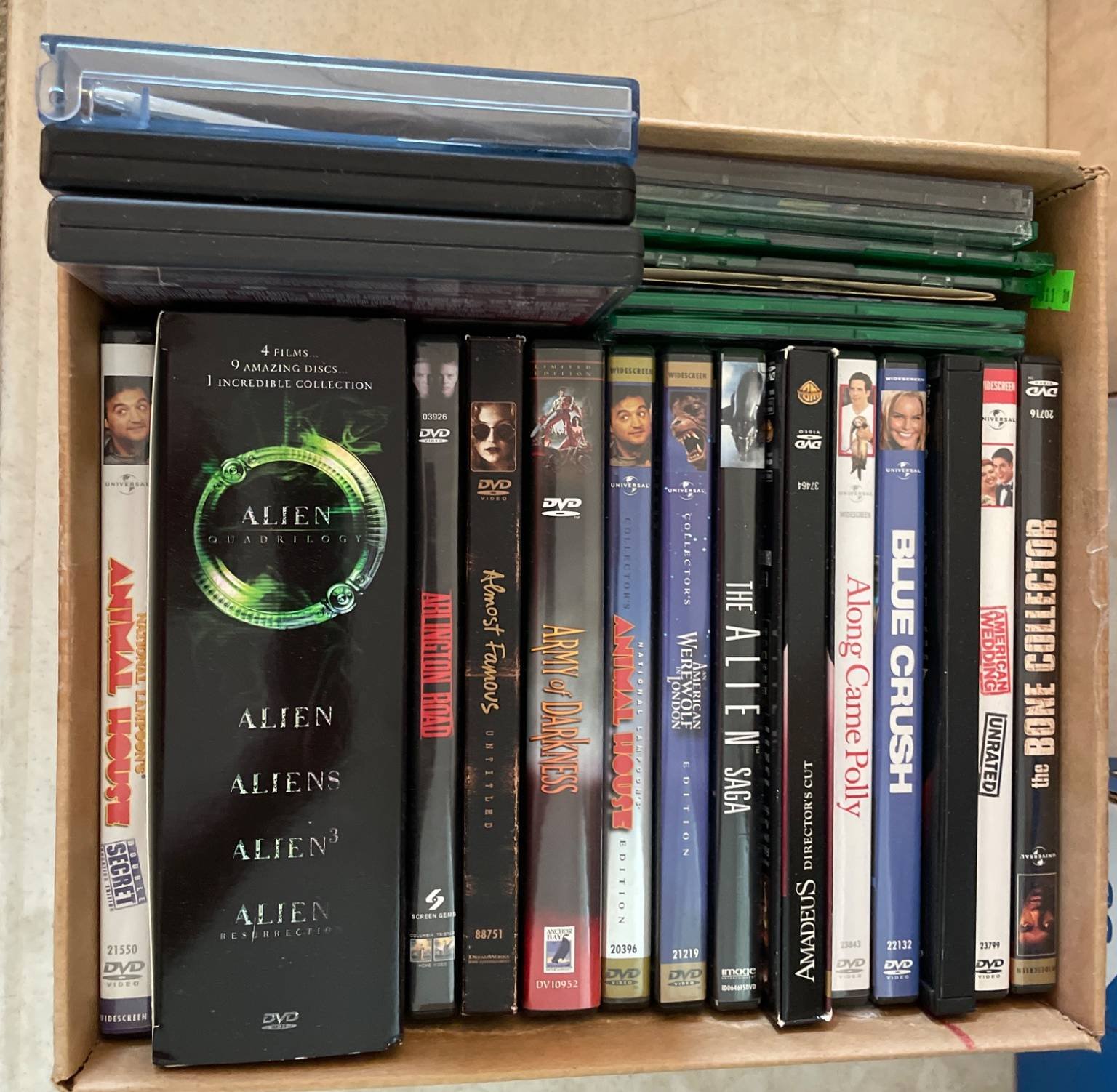 Online Bidding Available!