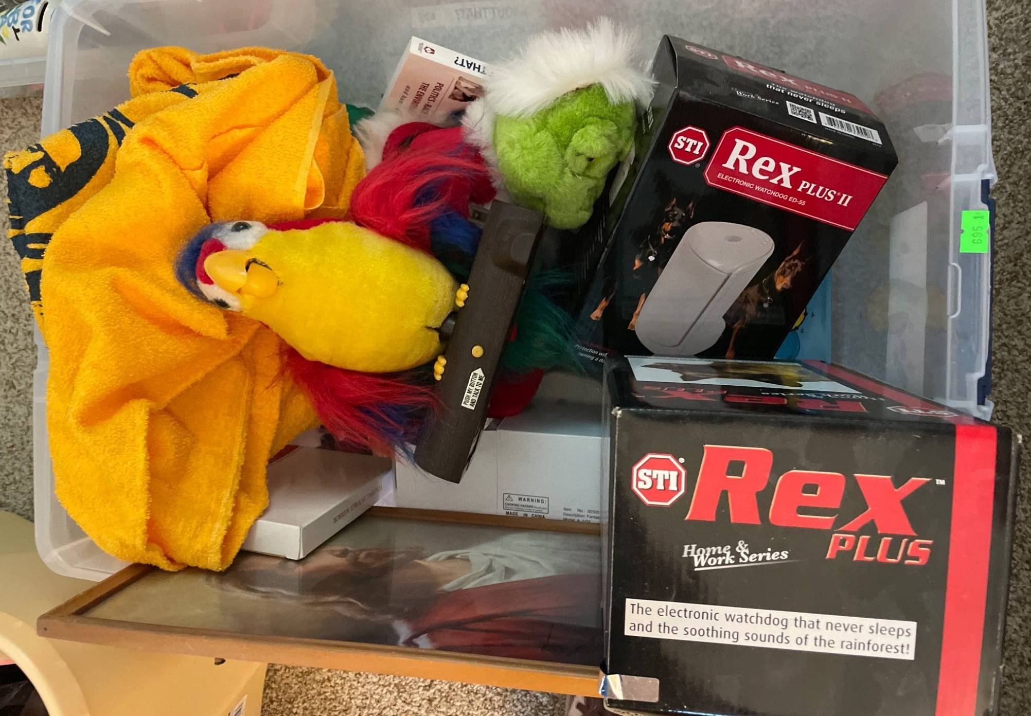 Online Bidding Available!