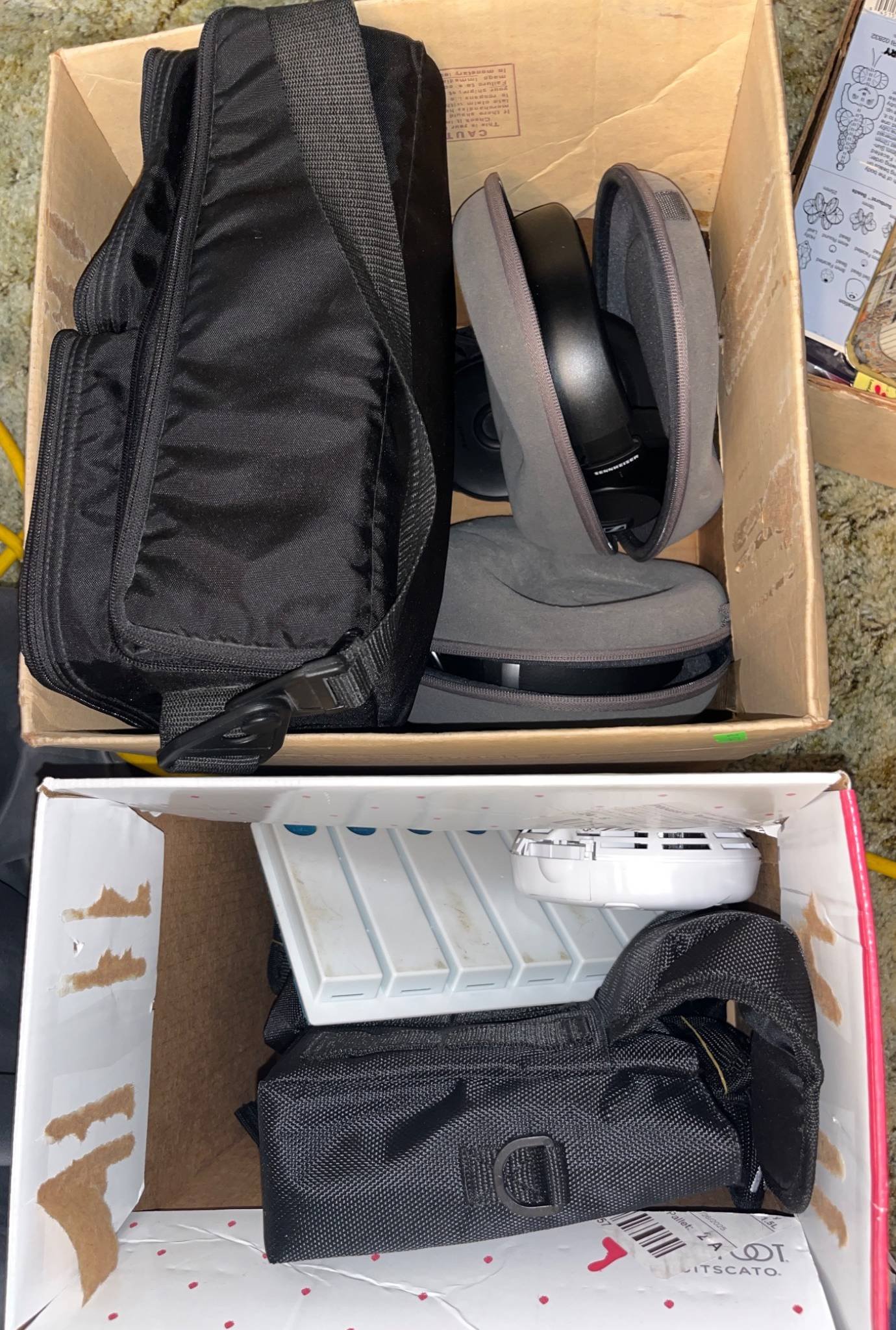 Online Bidding Available!