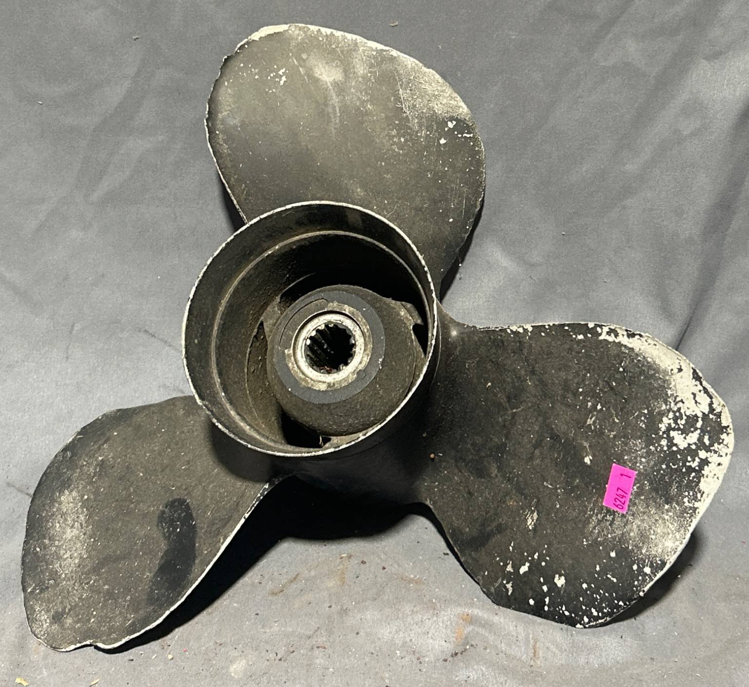 Online Bidding Available!