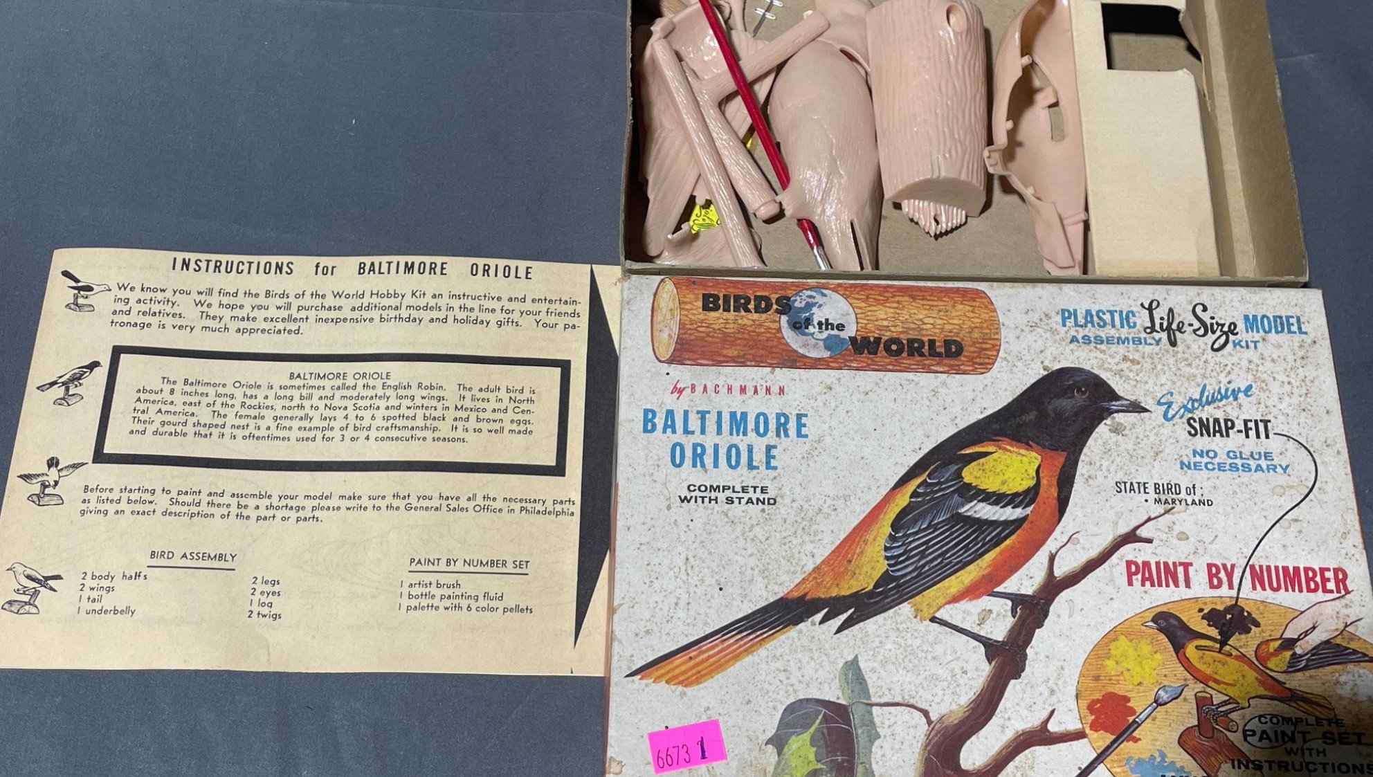 Online Bidding Available!