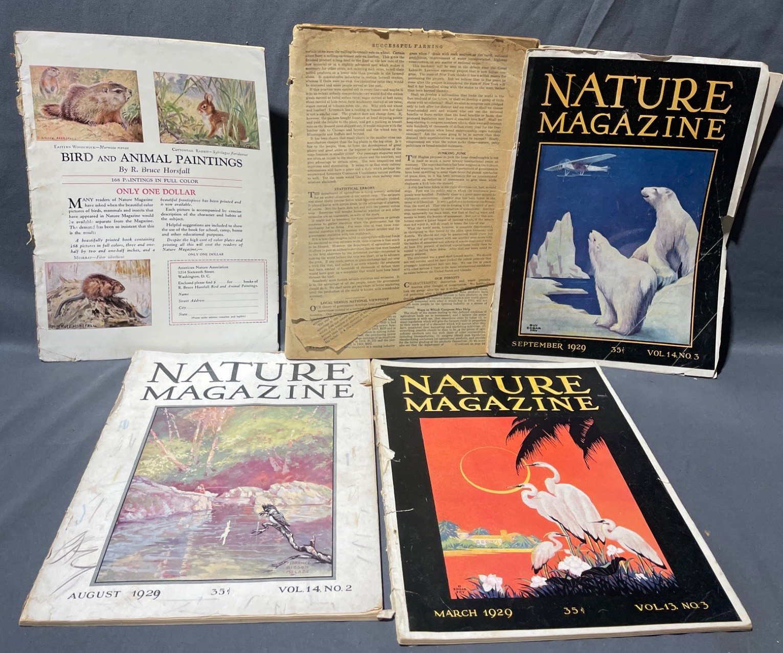 Online Bidding Available!