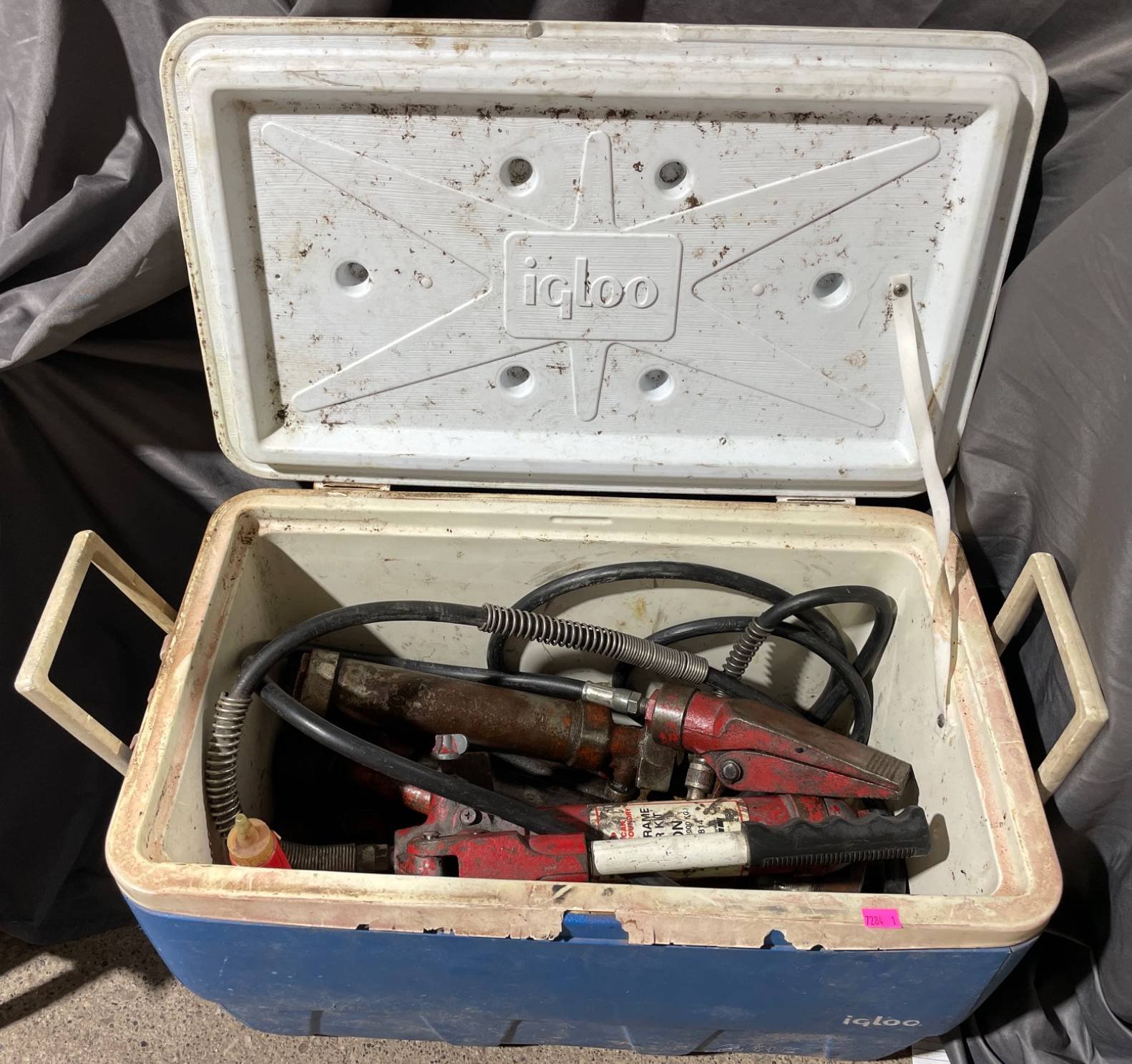 Online Bidding Available!