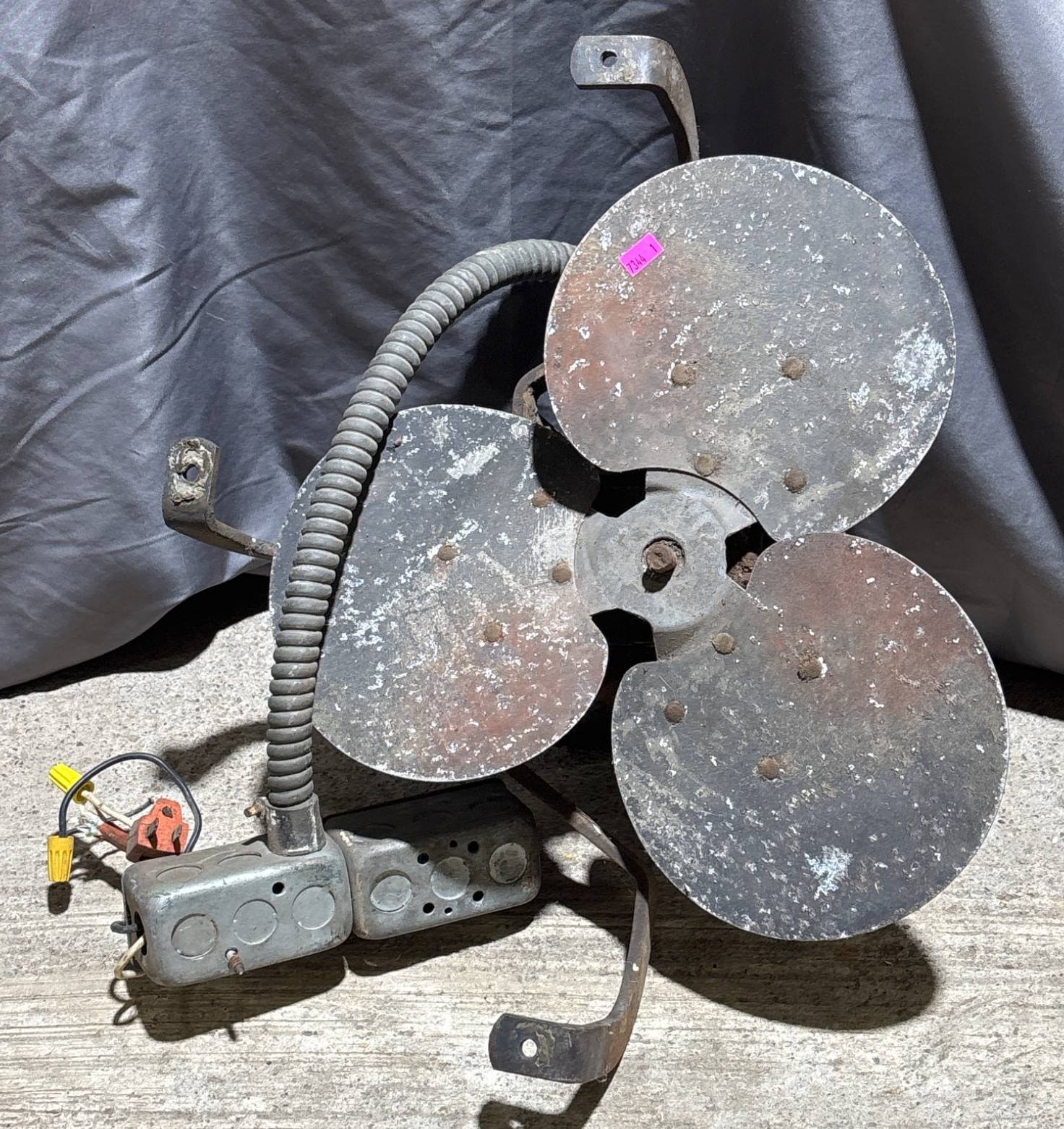 Online Bidding Available!