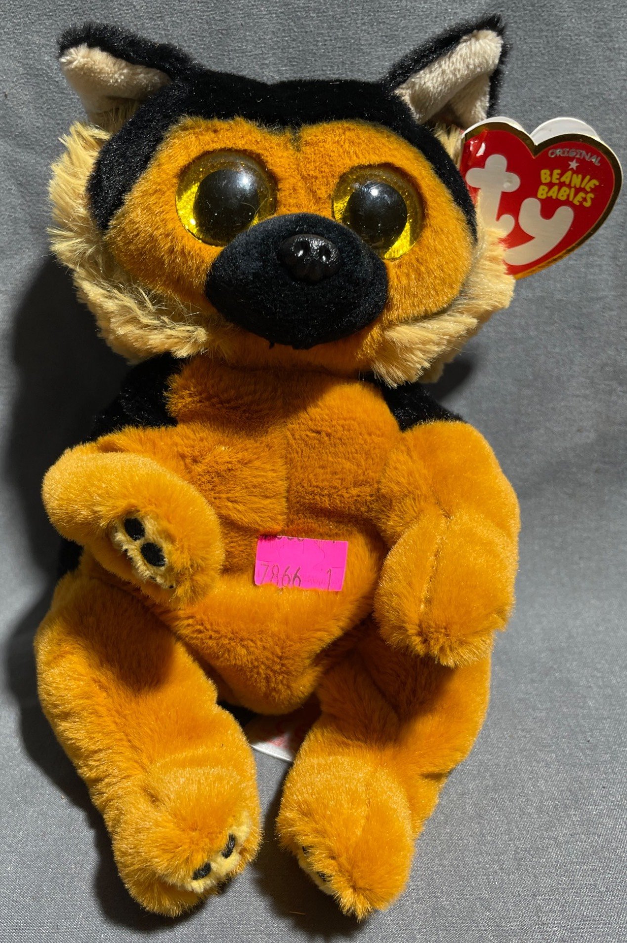 Online Bidding Available!