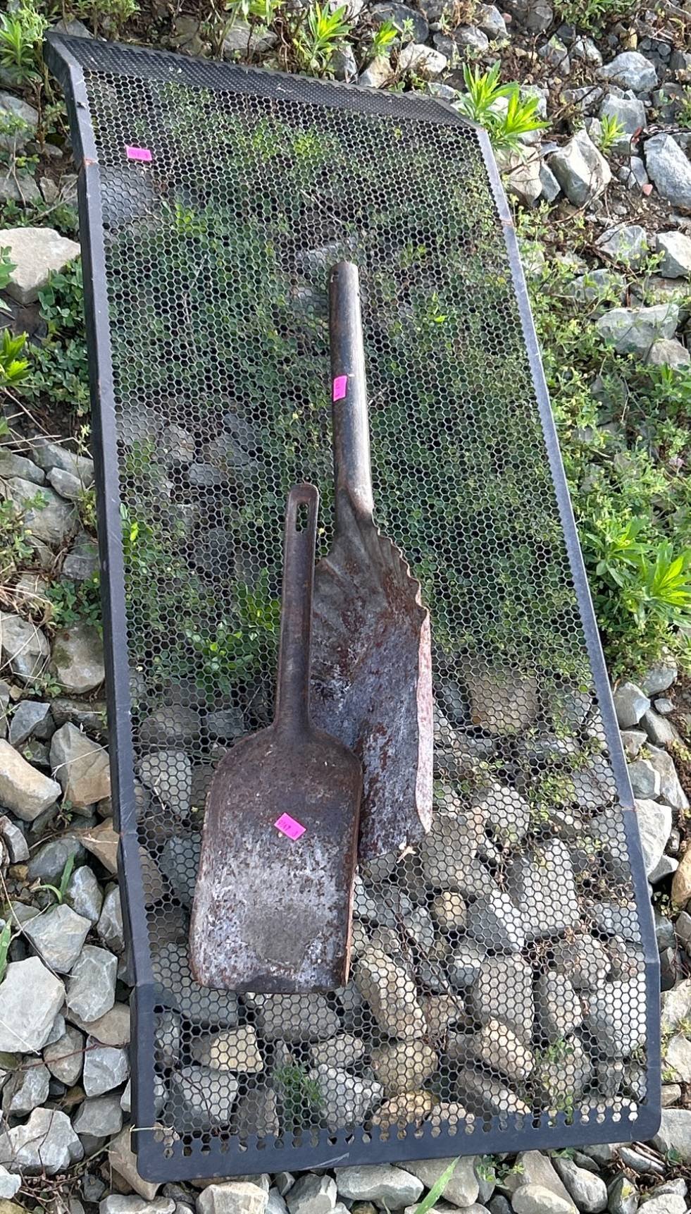 Online Bidding Available!