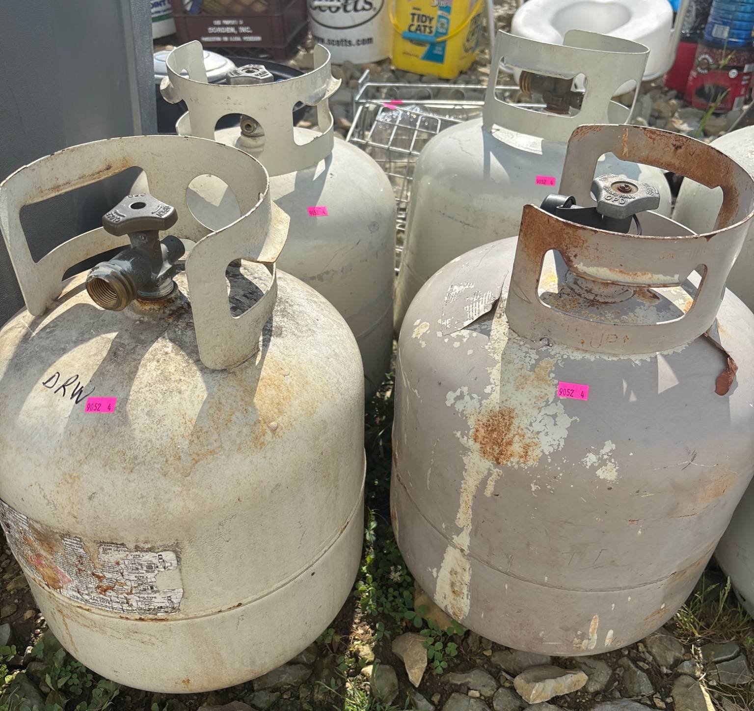 Online Bidding Available!