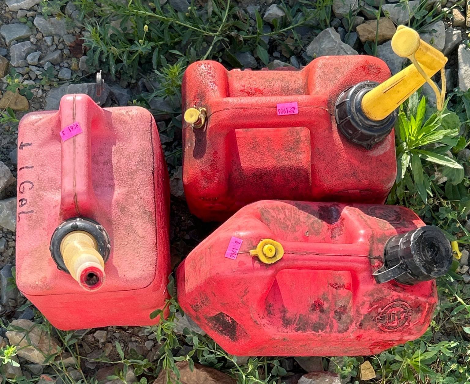 Online Bidding Available!