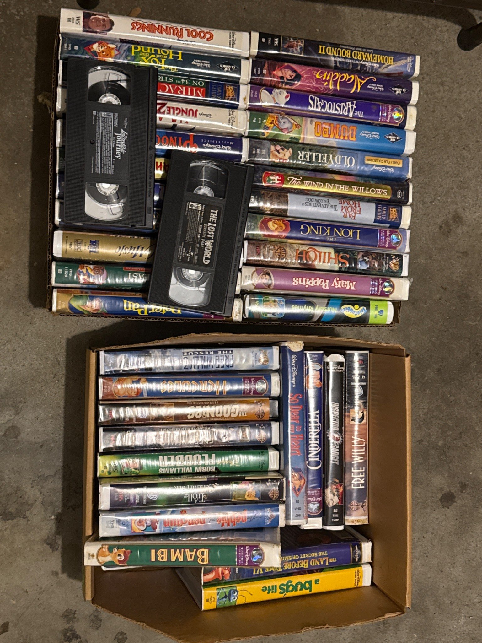 Online Bidding Available!