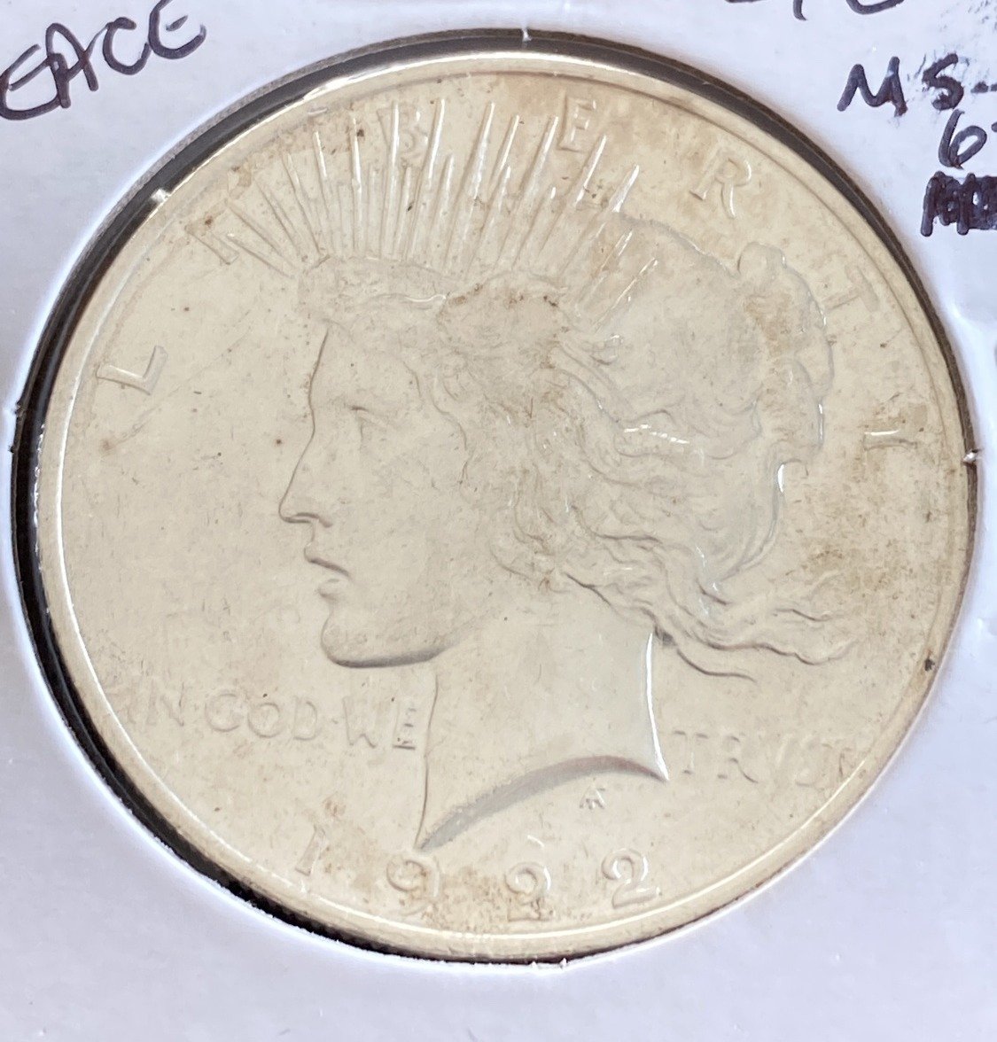 Online Bidding Available!