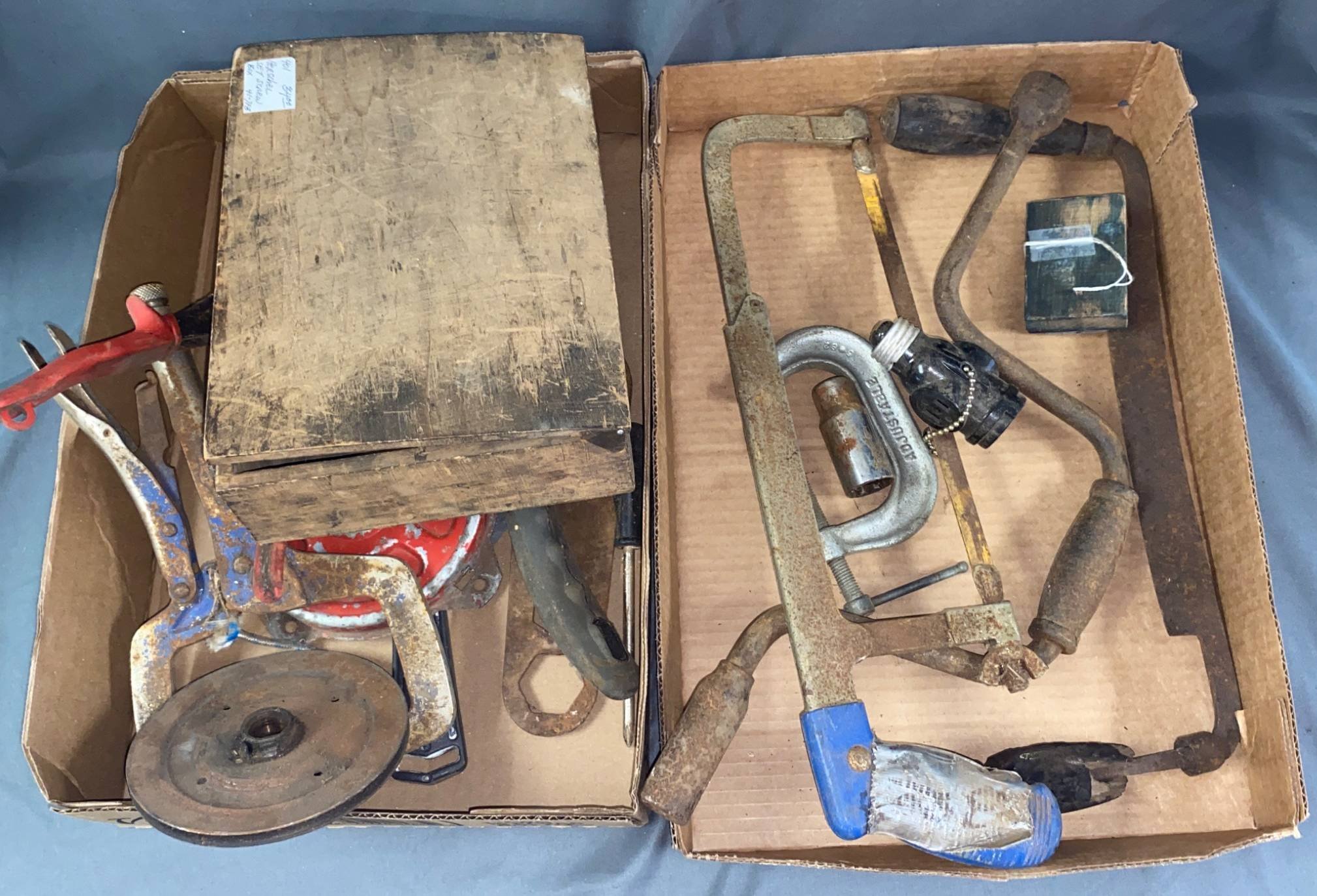 Online Bidding Available!