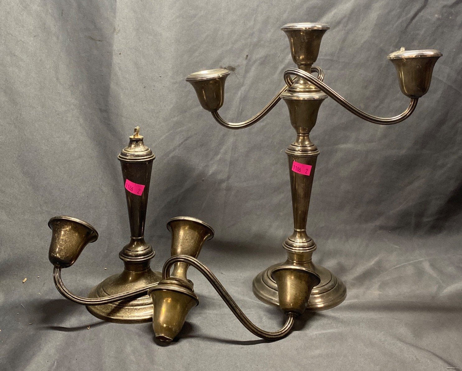 Online Bidding Available!