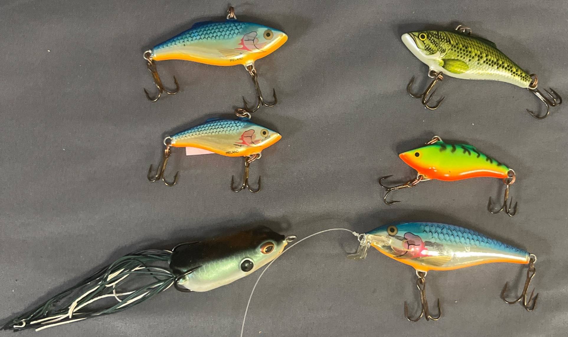 Online Bidding Available!