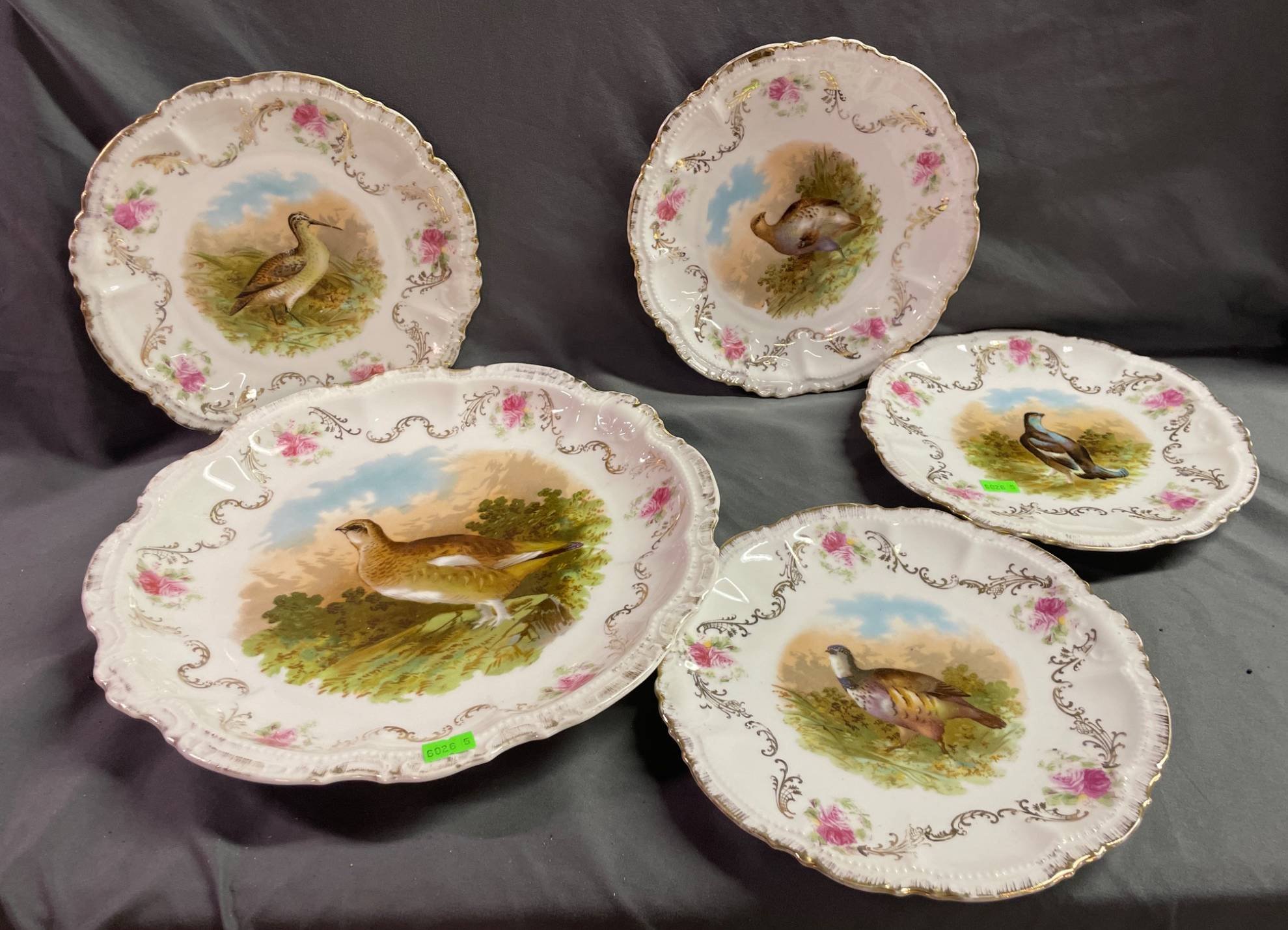 Online Bidding Available!