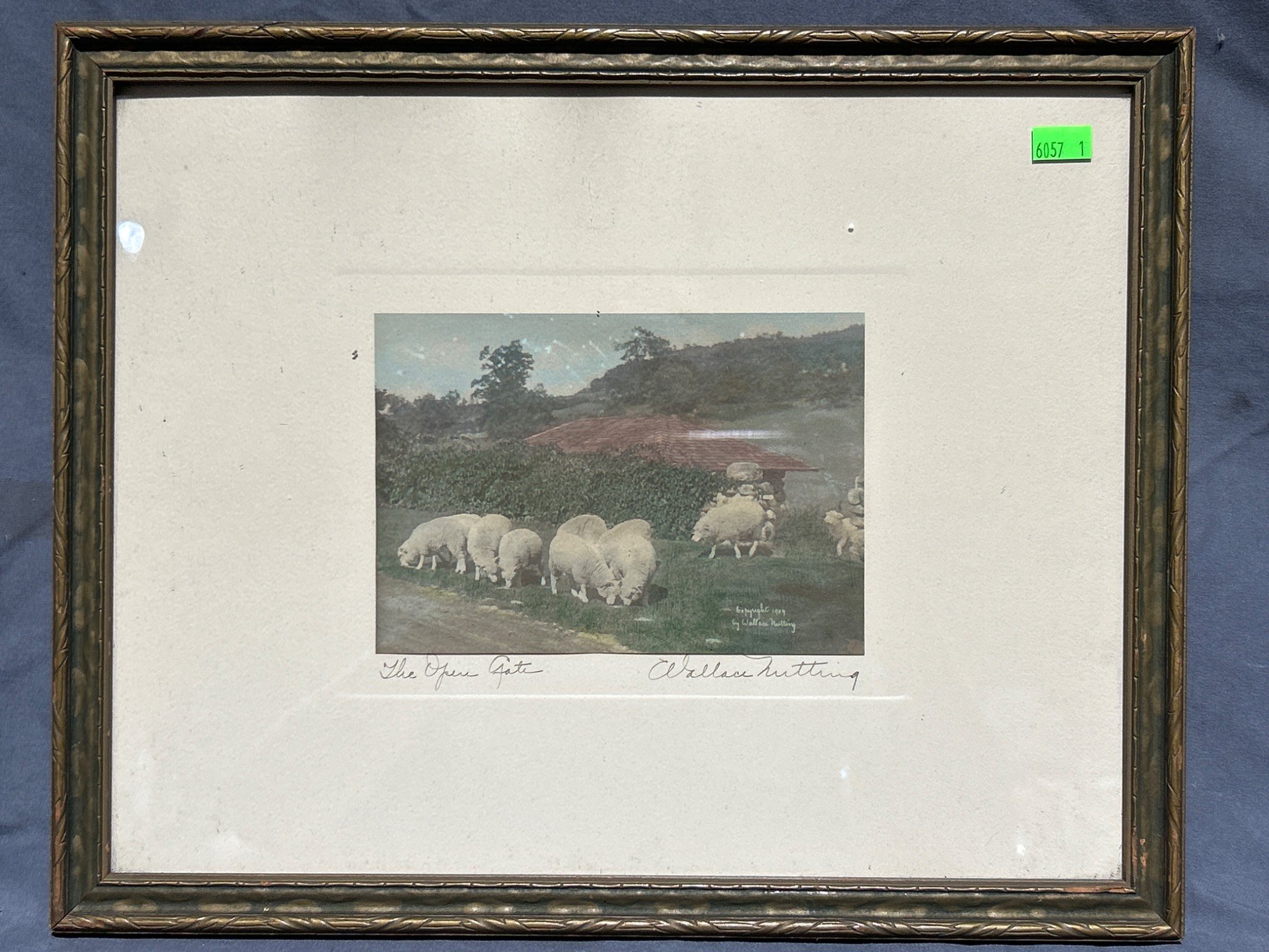 Online Bidding Available!