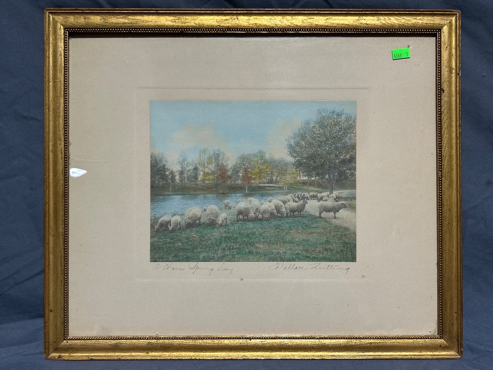 Online Bidding Available!