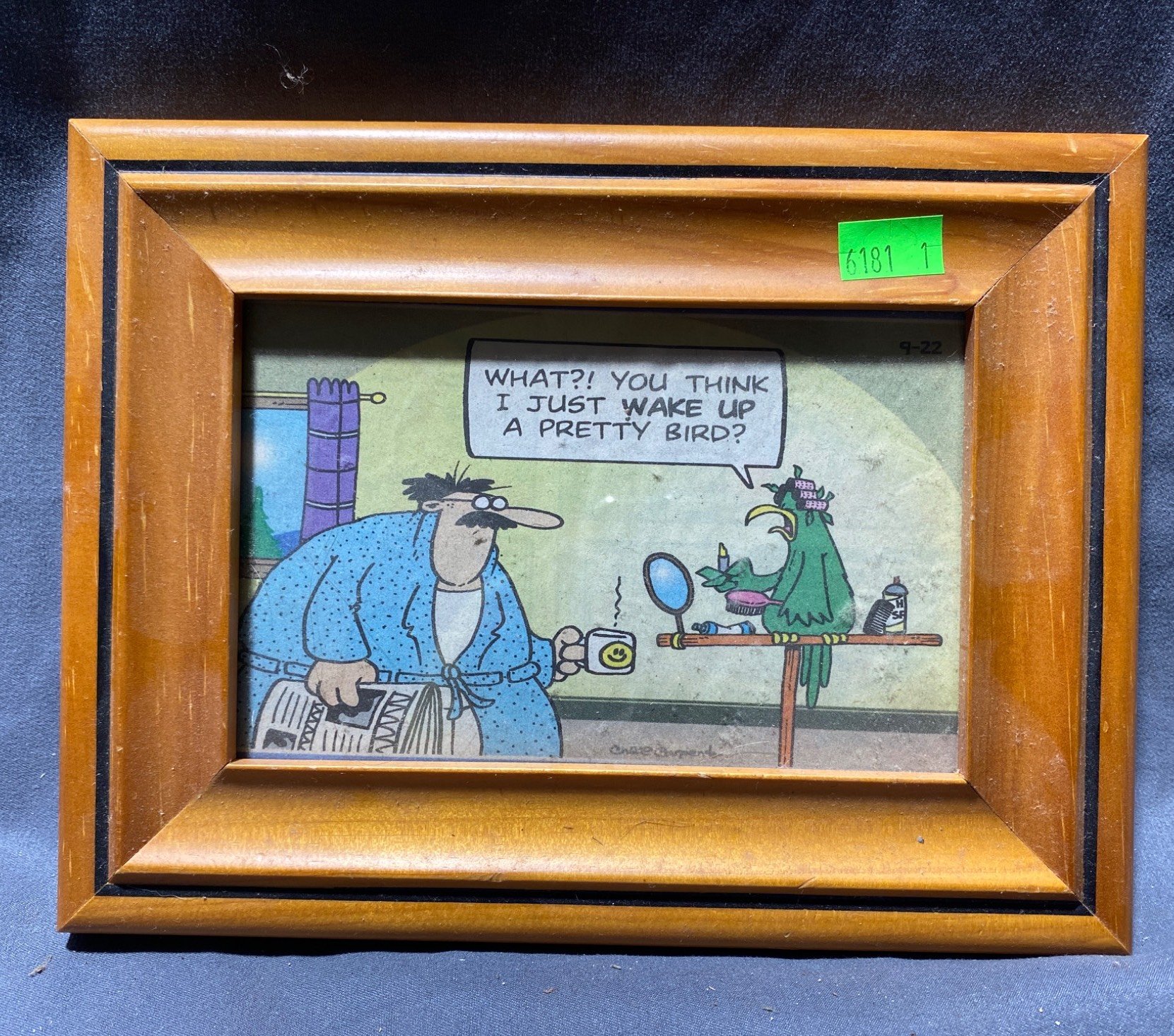 Online Bidding Available!