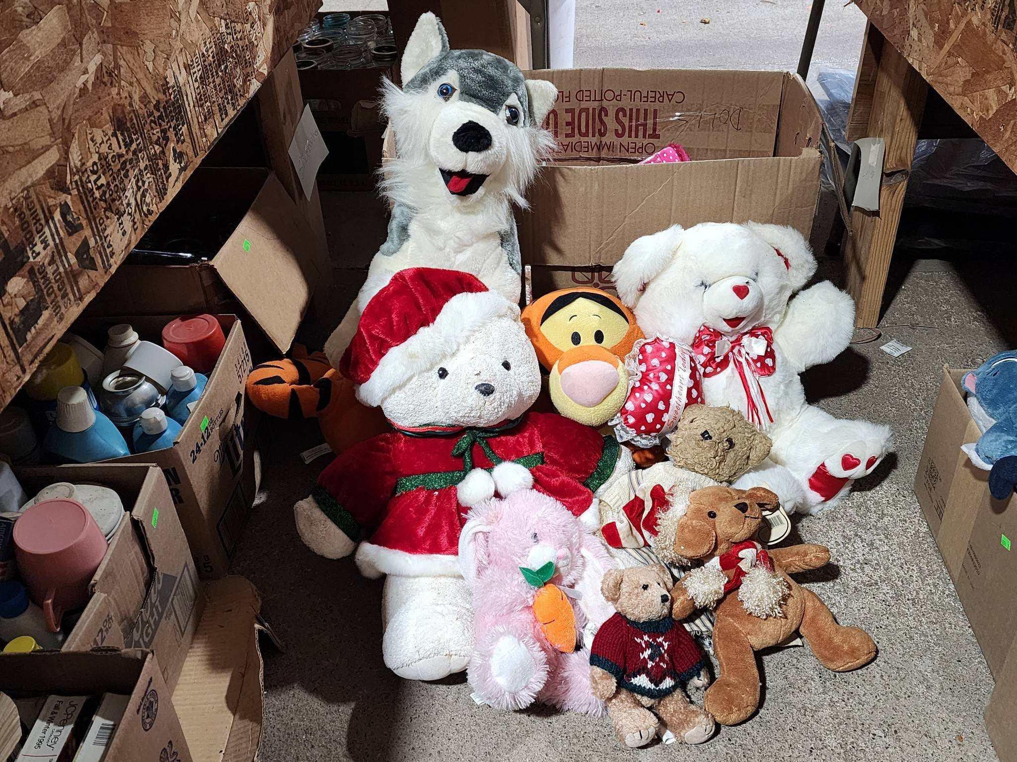 Online Bidding Available!