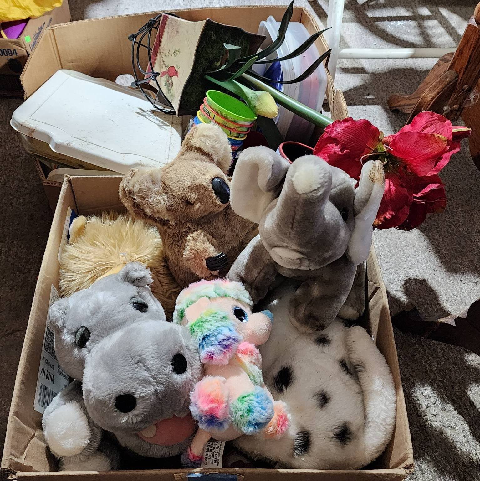 Online Bidding Available!