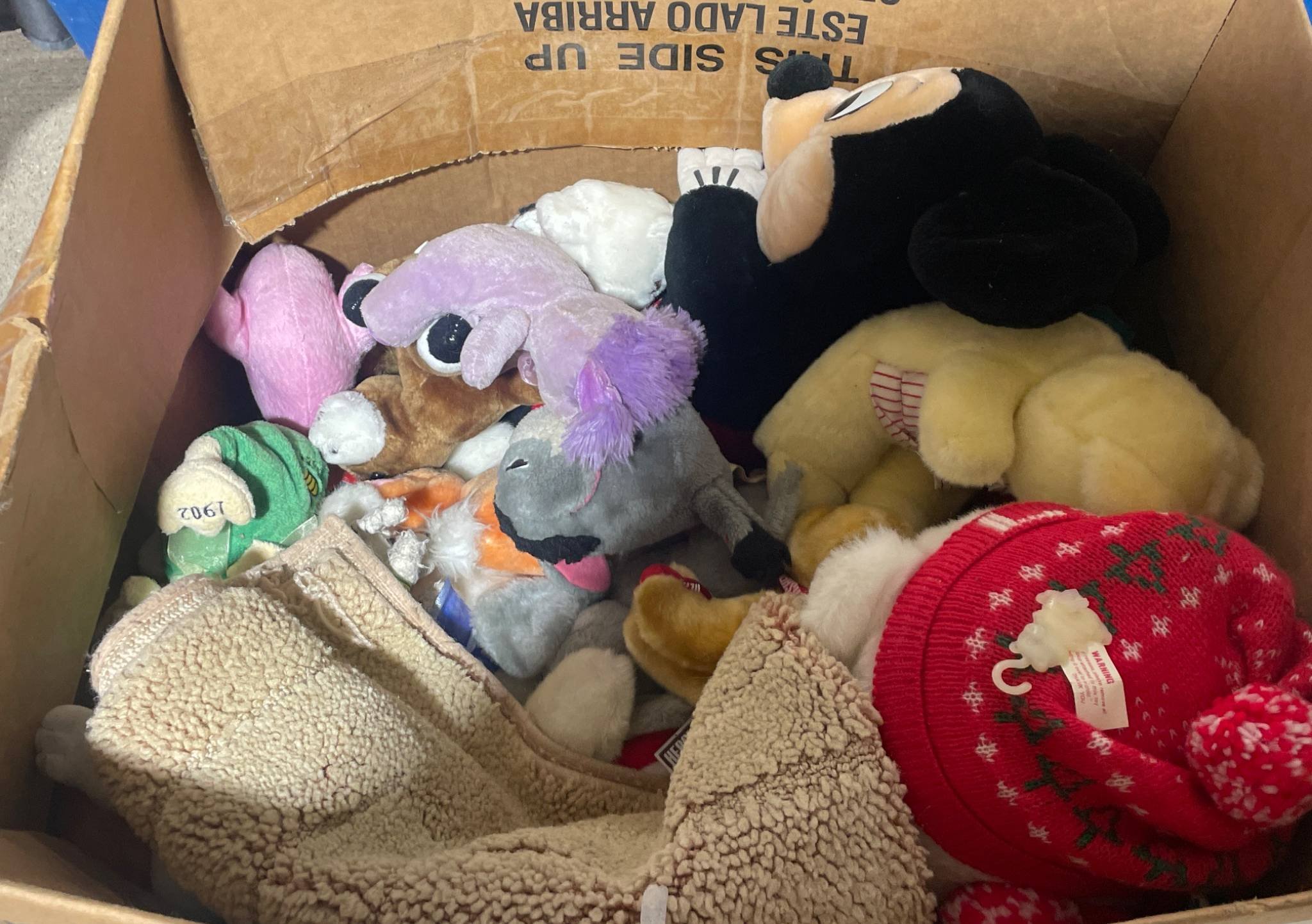 Online Bidding Available!