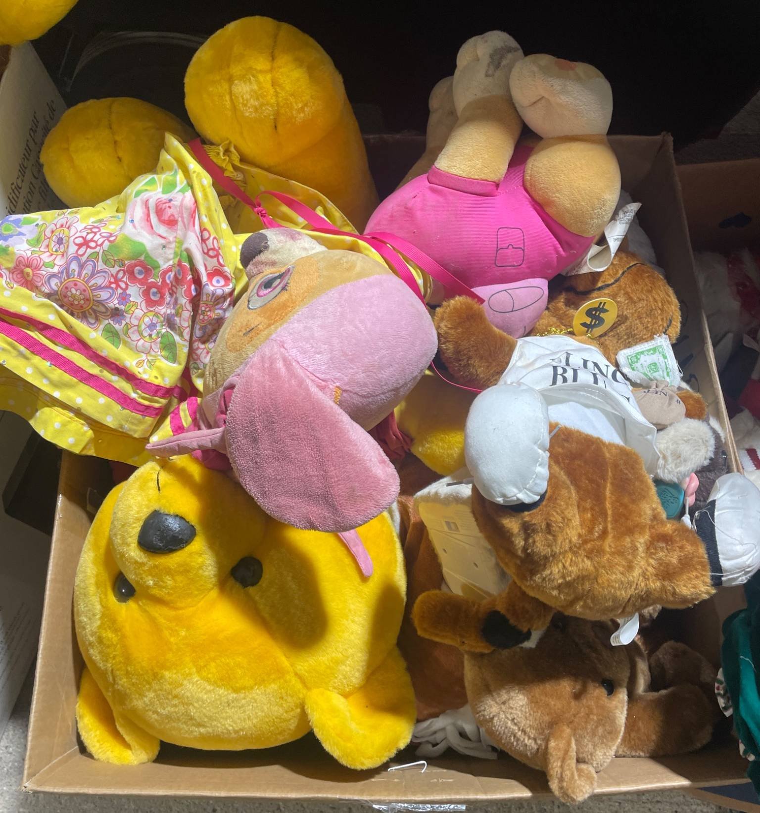 Online Bidding Available!