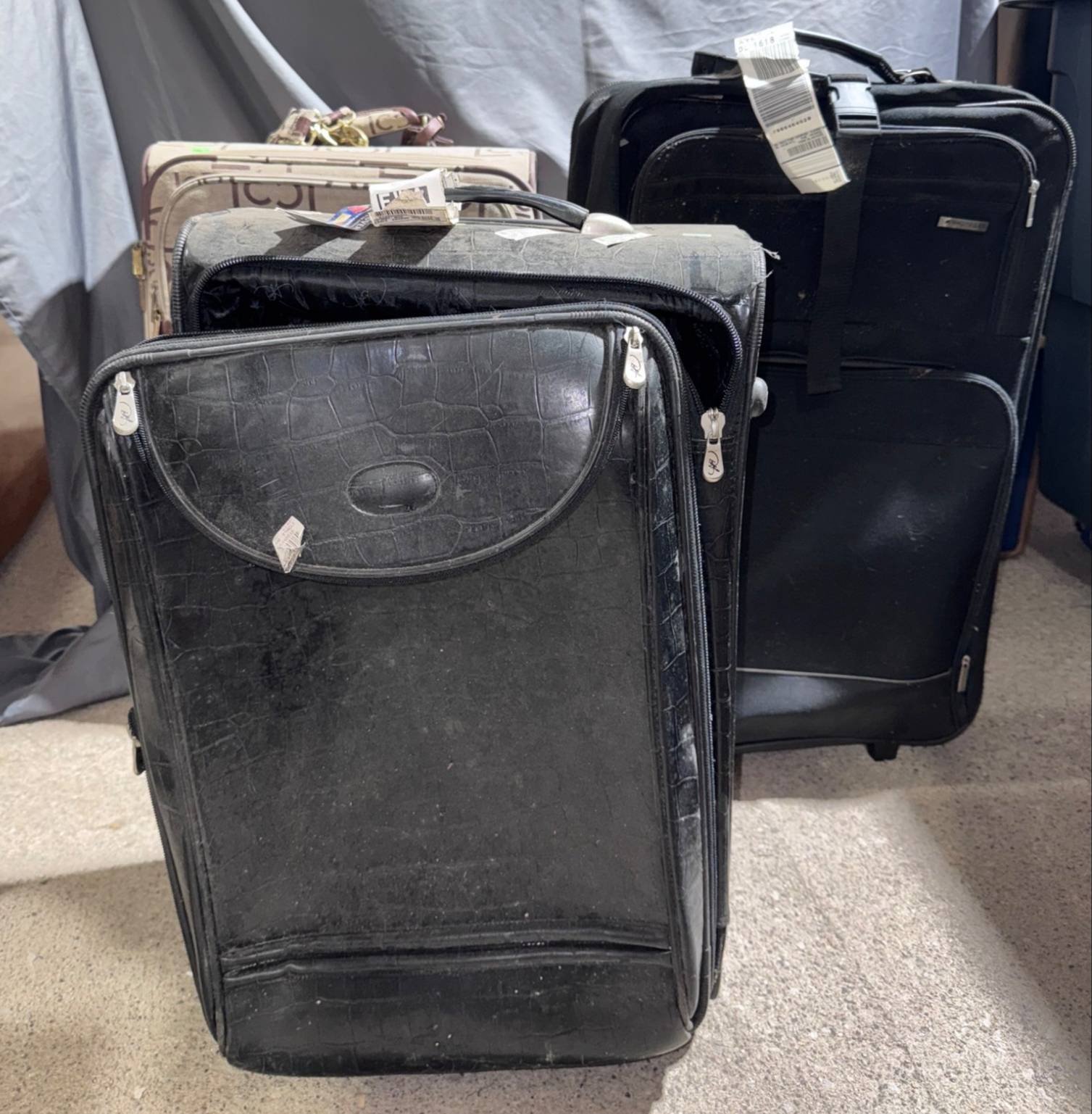 Online Bidding Available!