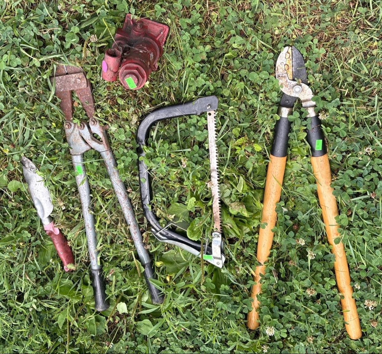 Online Bidding Available!