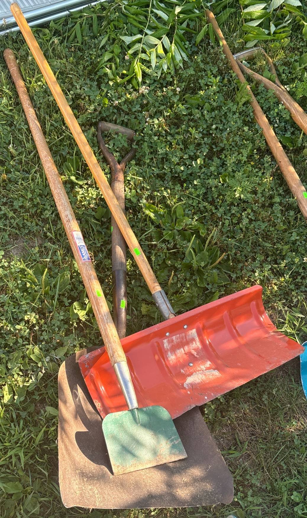 Online Bidding Available!