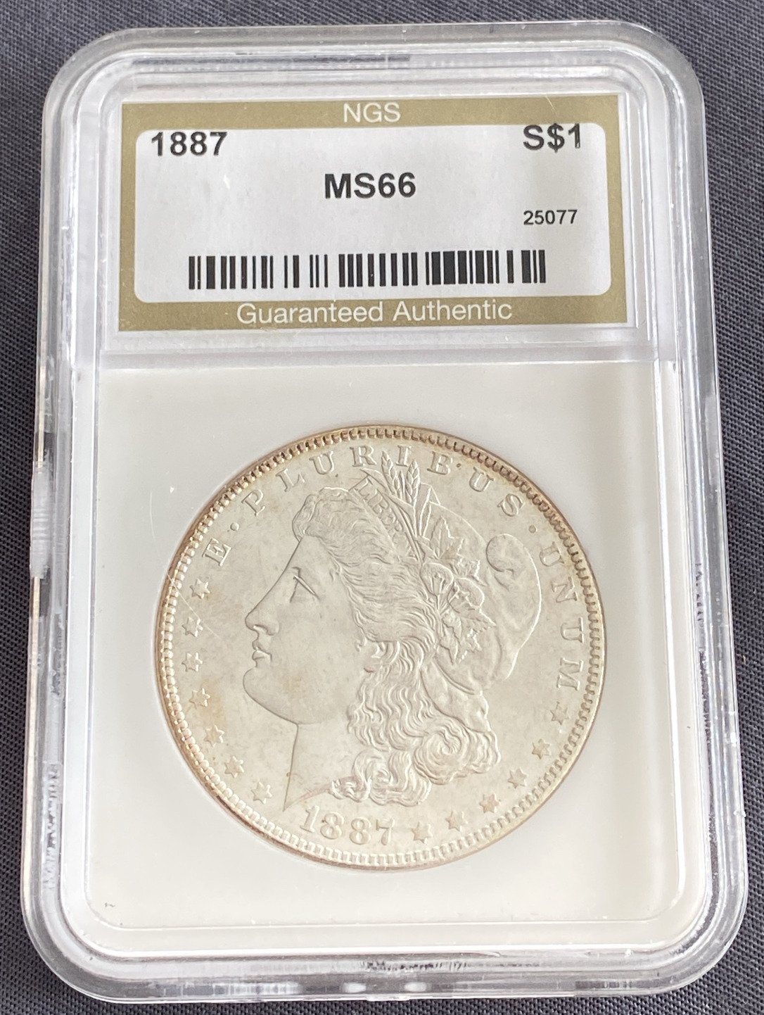 Online Bidding Available!