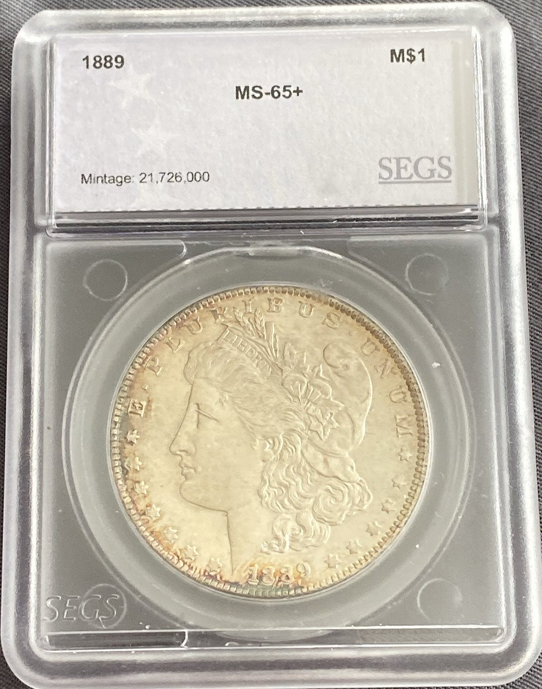 Online Bidding Available!